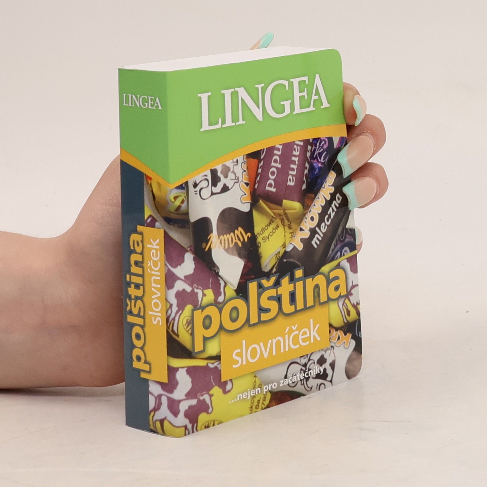 Kolektiv autorů Polština : slovníček