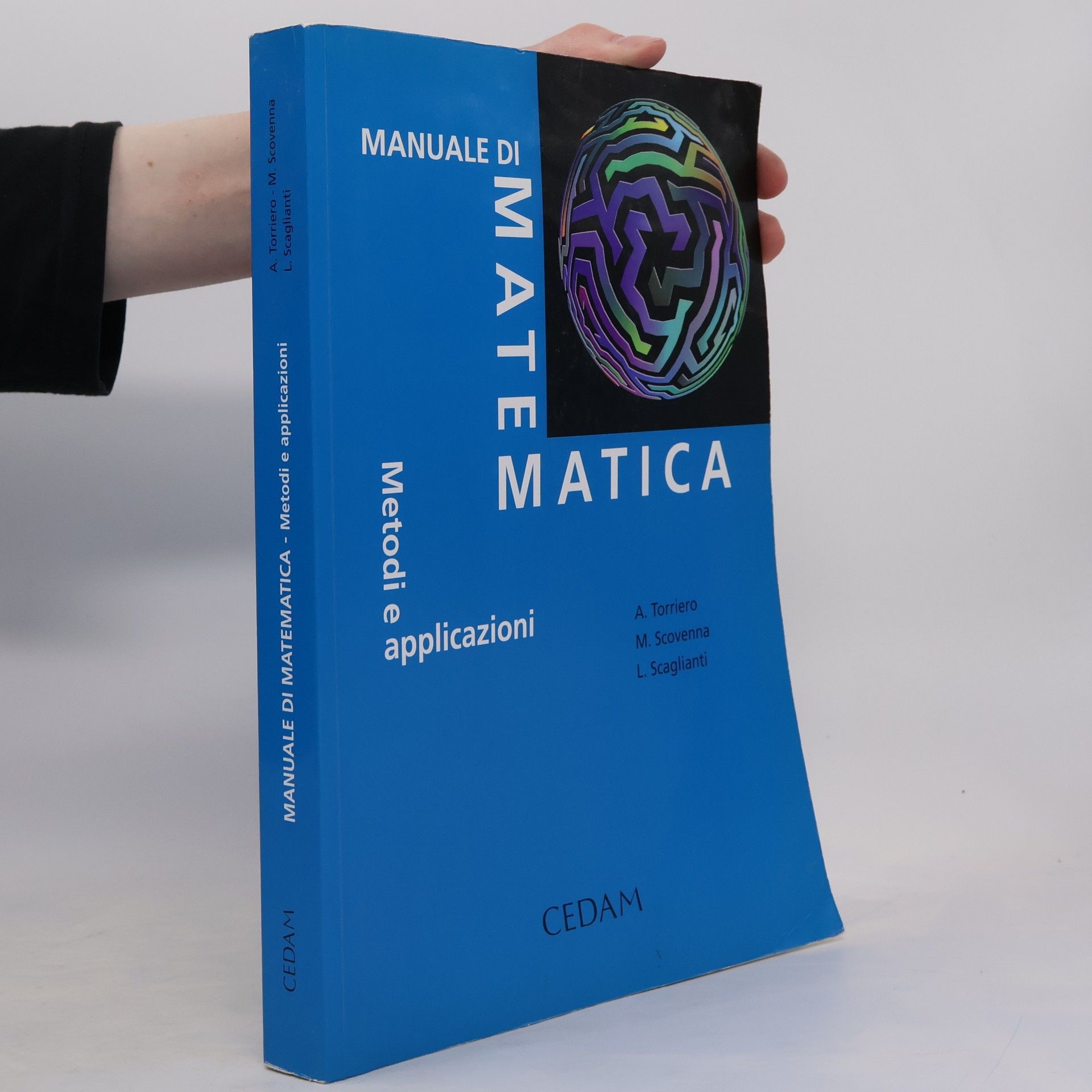 Manuale di matematica. Metodi e applicazioni
