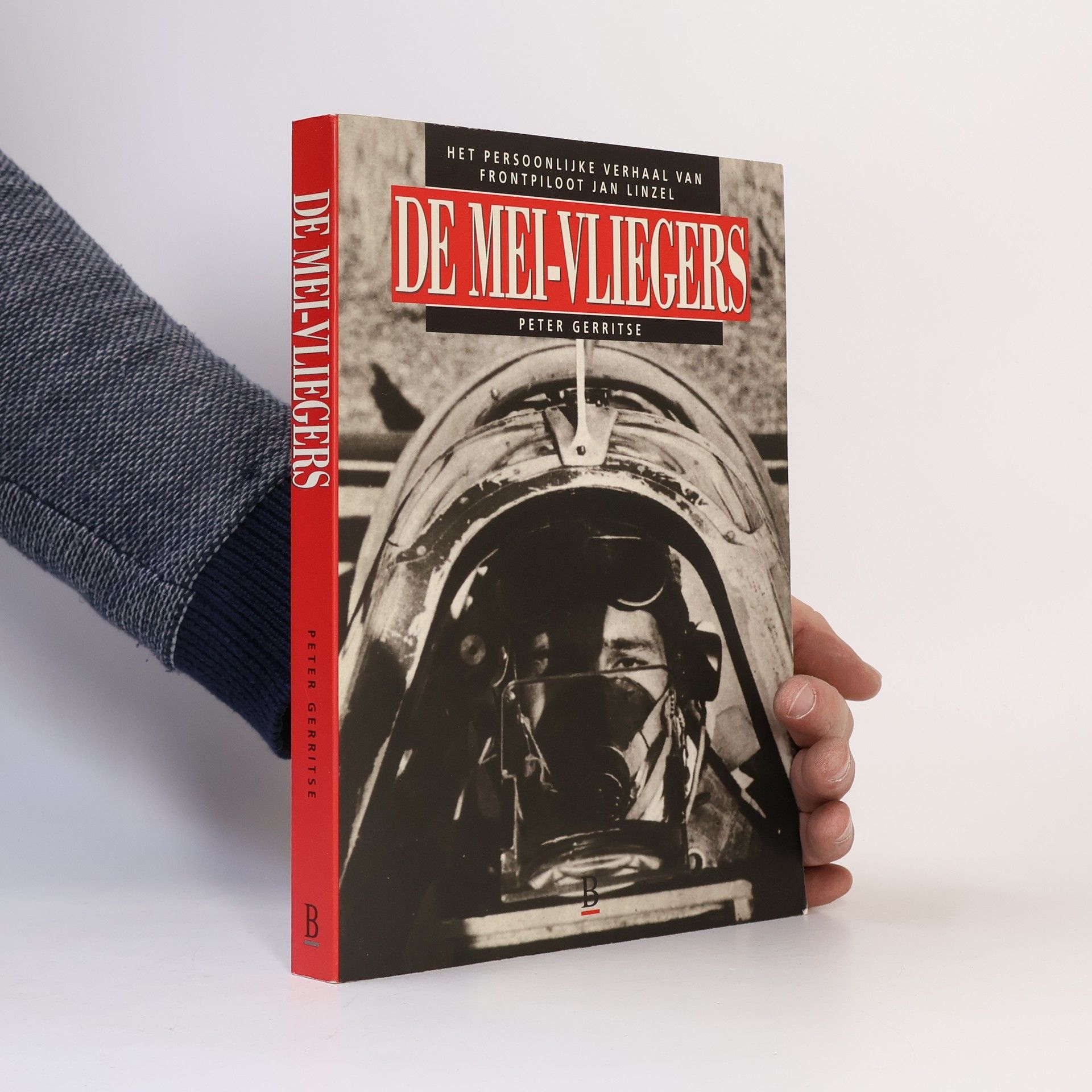 De mei-vliegers