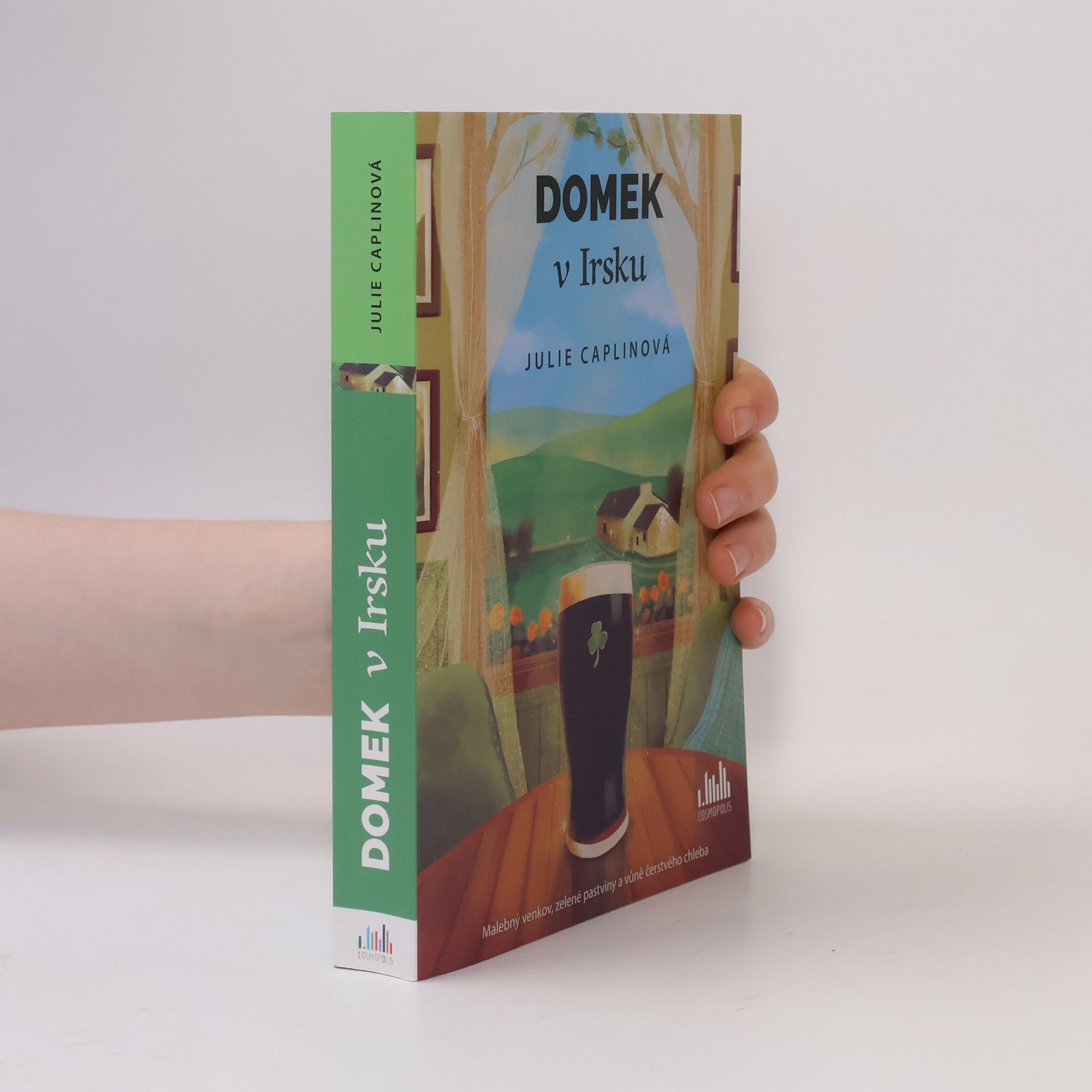 Julie Caplin Domek v Irsku