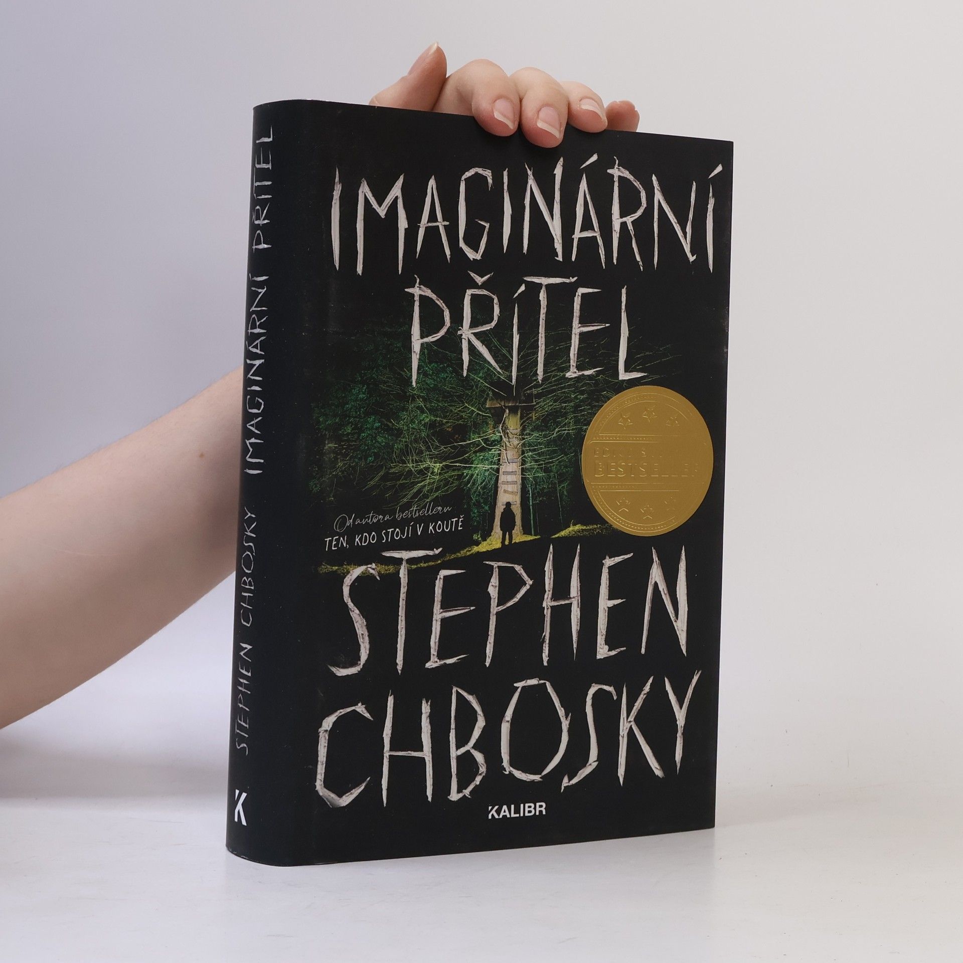 Stephen Chbosky Imaginární přítel