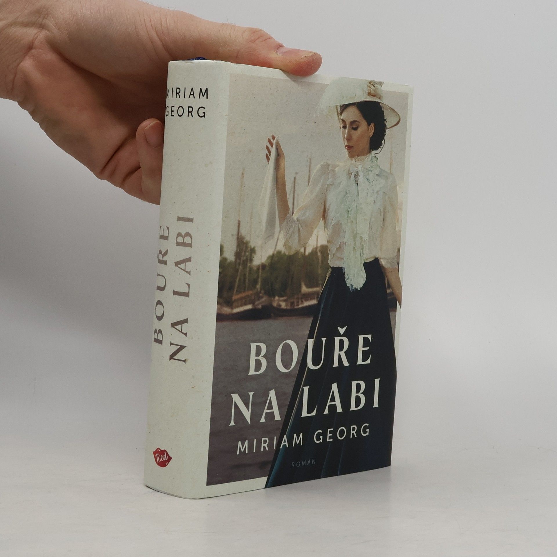 Bouře na Labi: hanzovní rodinná sága