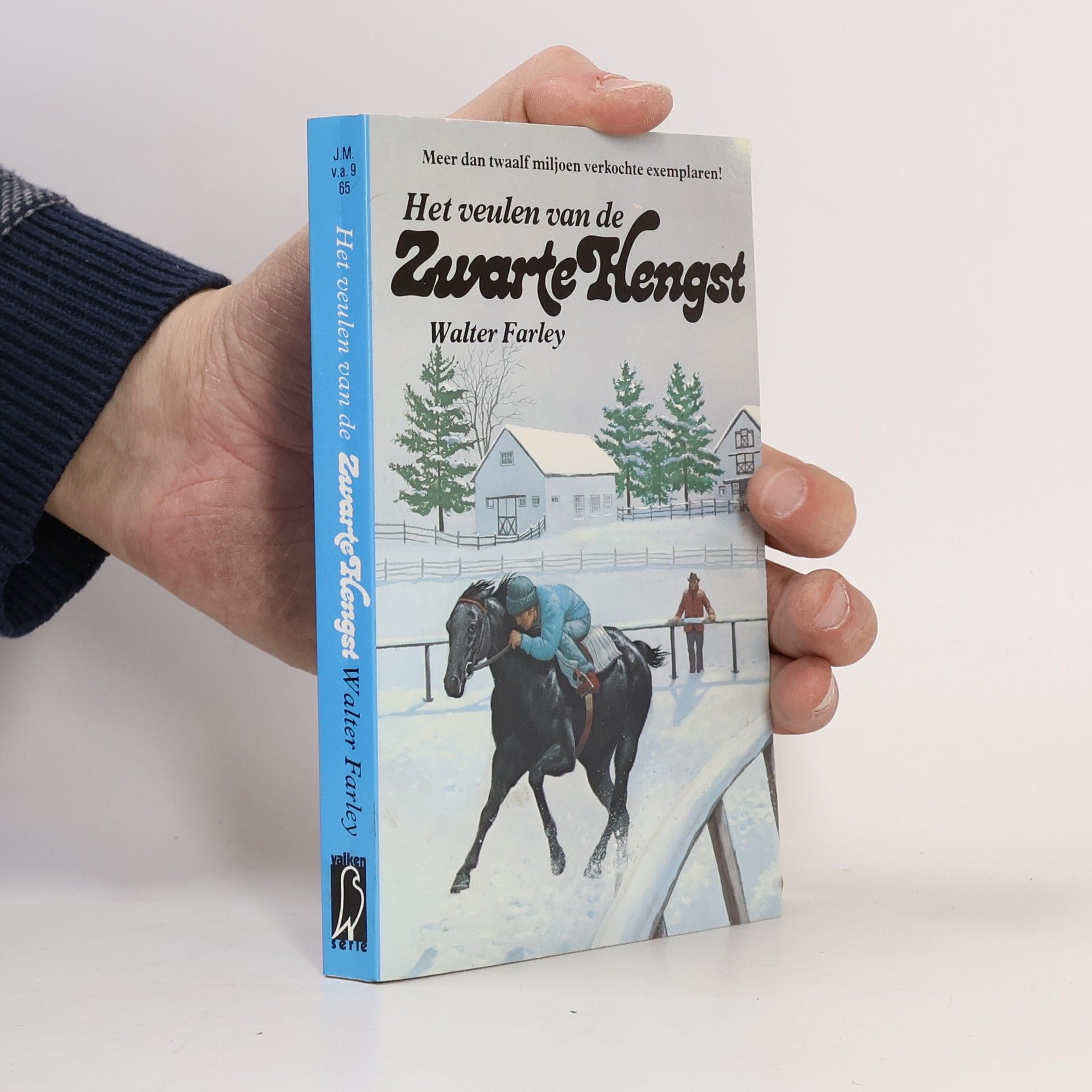 Walter Farley Valken Serie: Het veulen van de Zwarte Hengst