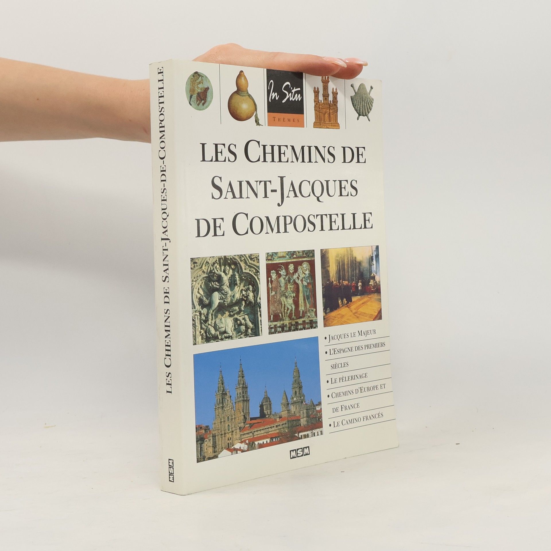 Collectif d'auteurs Les Chemins de Saint-Jacques de Compostelle