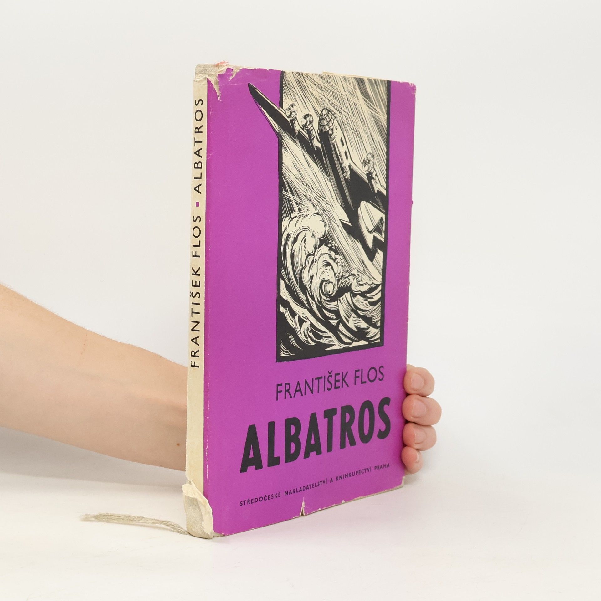 Albatros