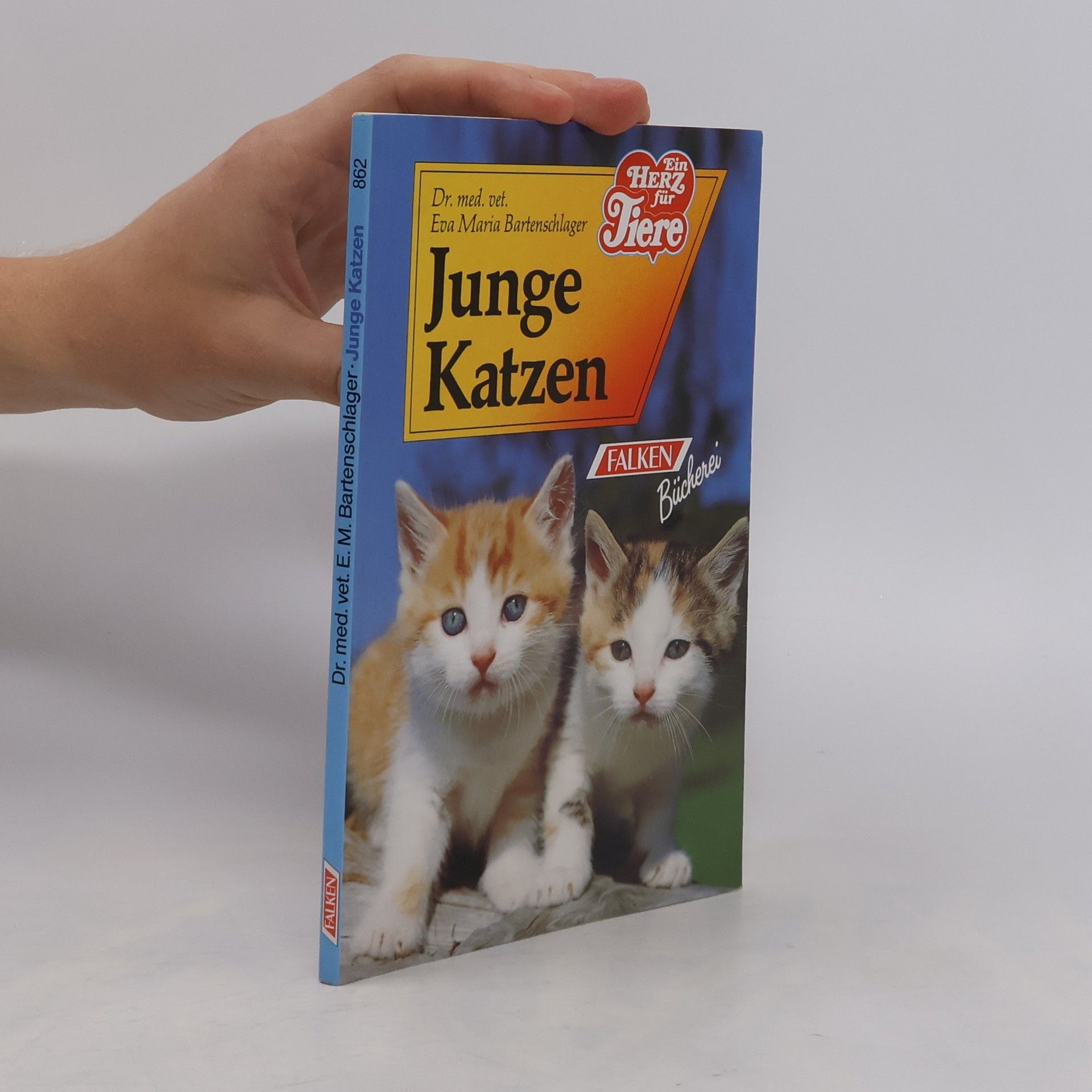 Eva Maria Bartenschlager Junge Katzen
