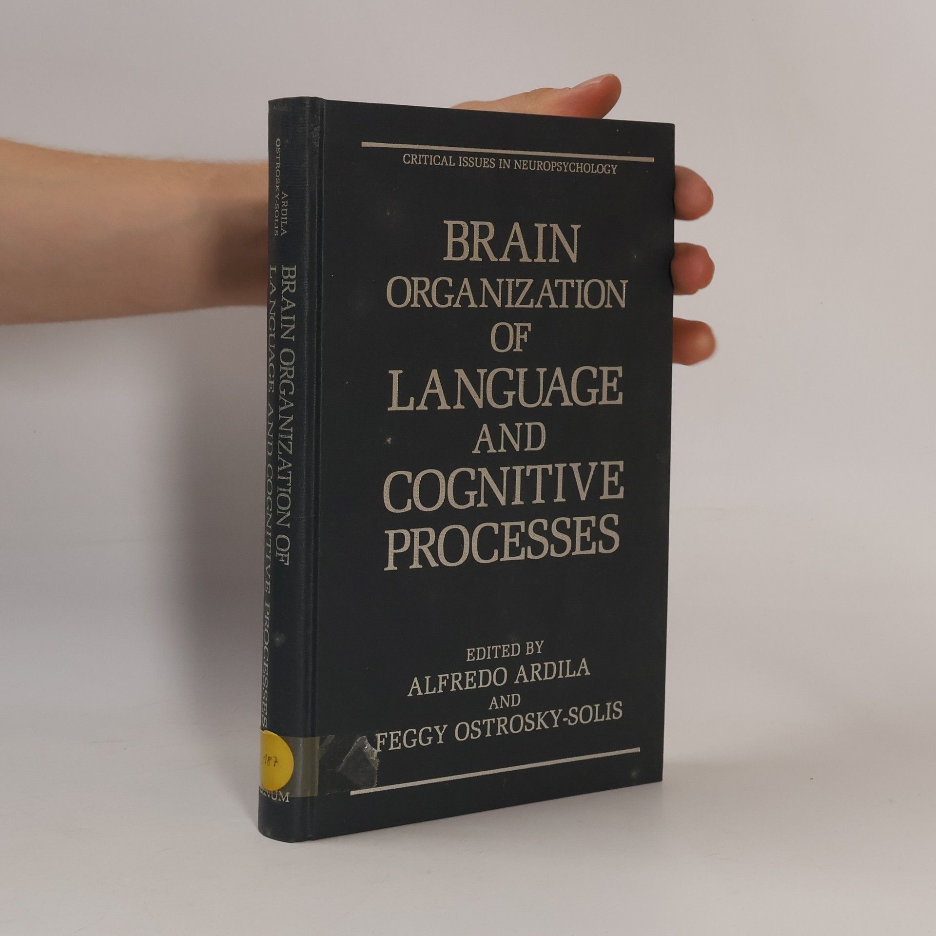 Feggy Ostrosky-Solis Critical Issues in Neuropsychology: Brain Organization of Language and Cognitive Processes