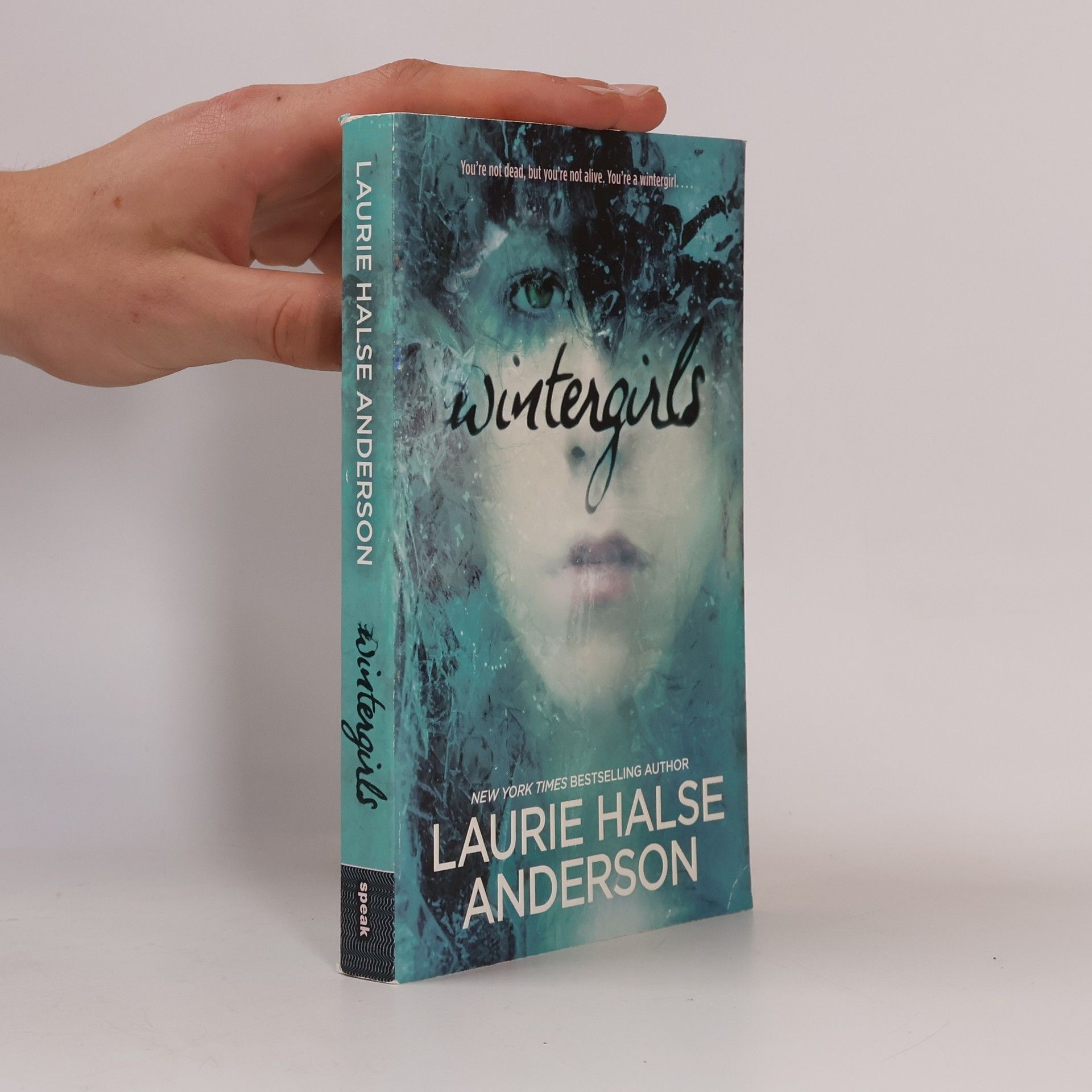Laurie Halse Anderson Wintergirls