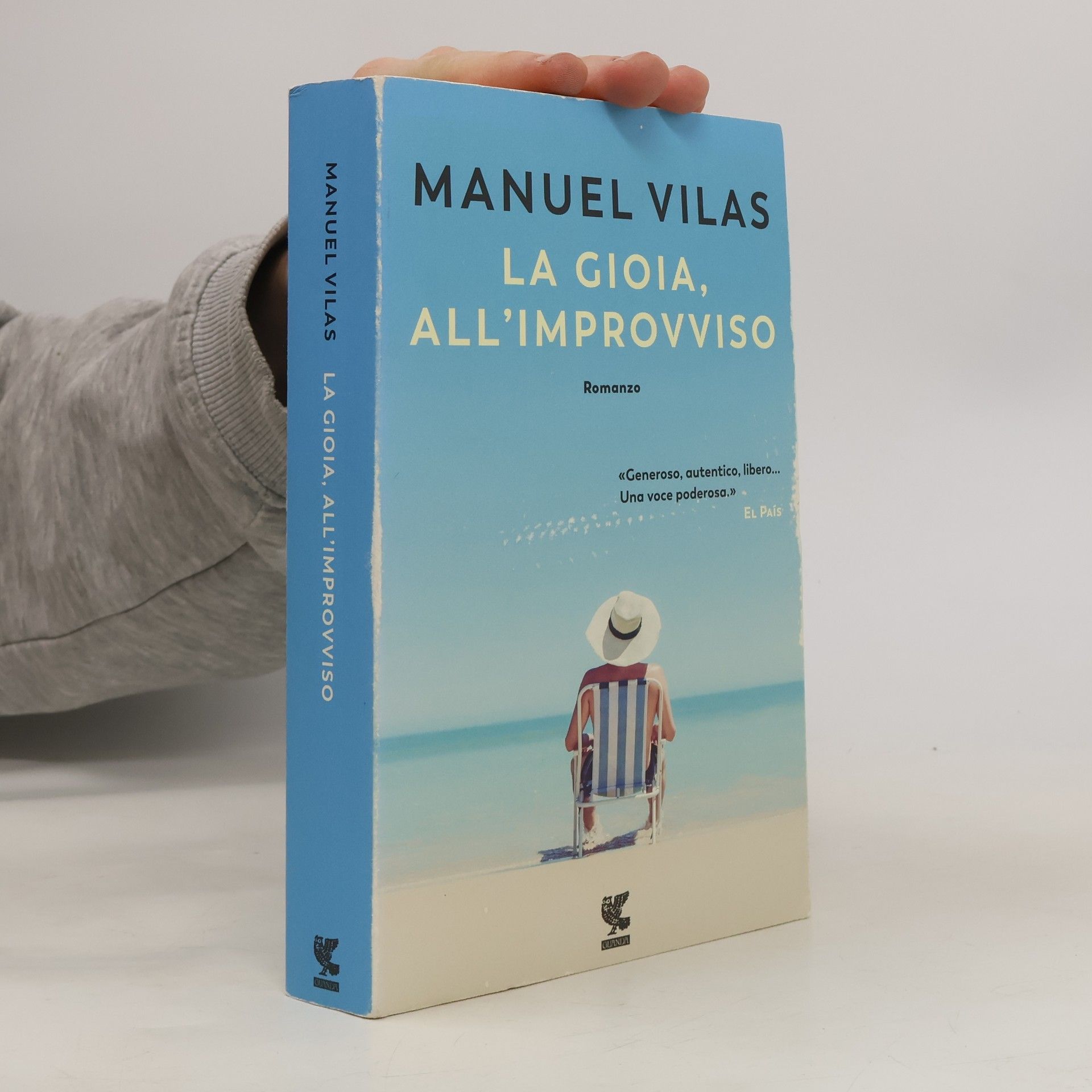 Manuel Vilas La gioia, all'improvviso