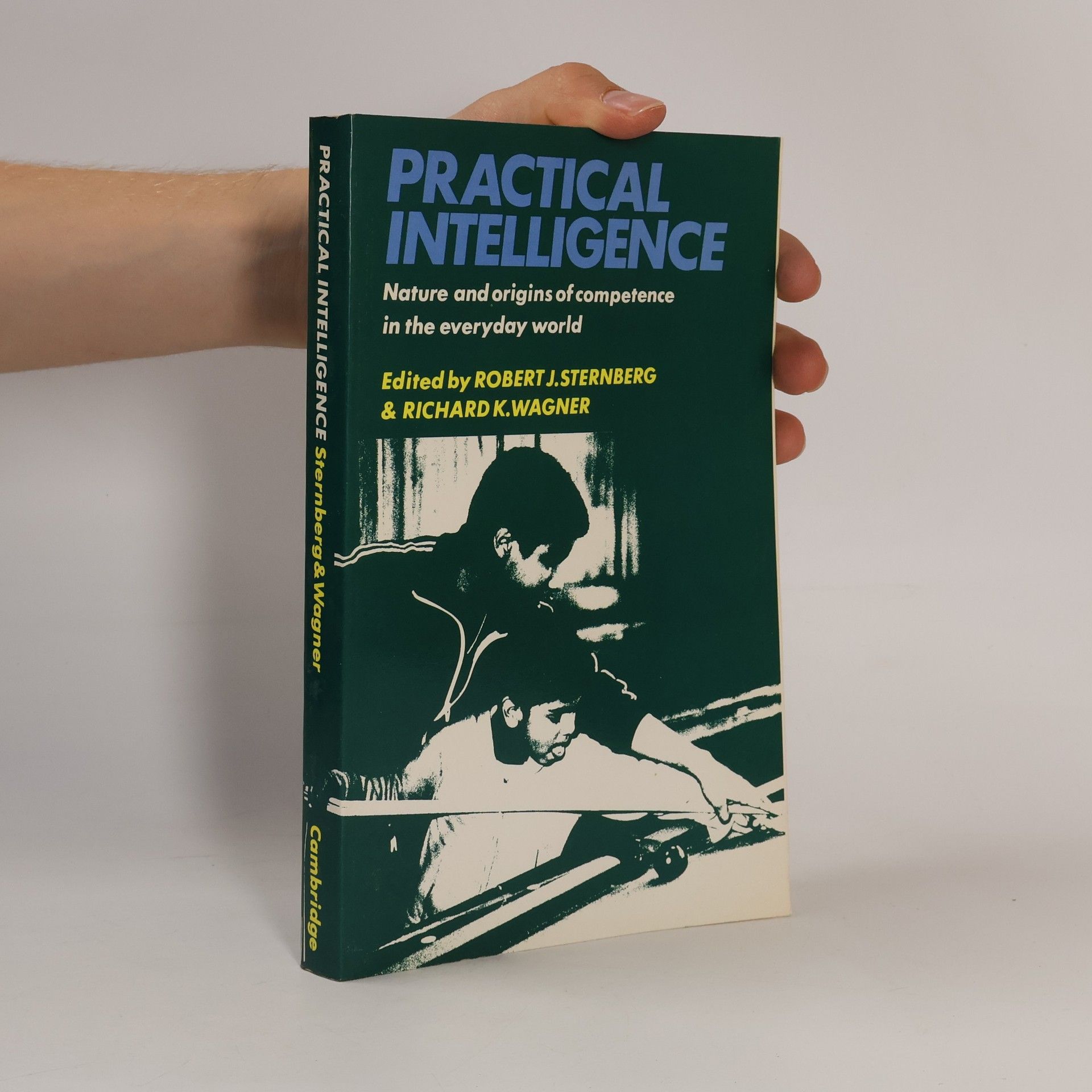 Richard K. Wagner Practical Intelligence