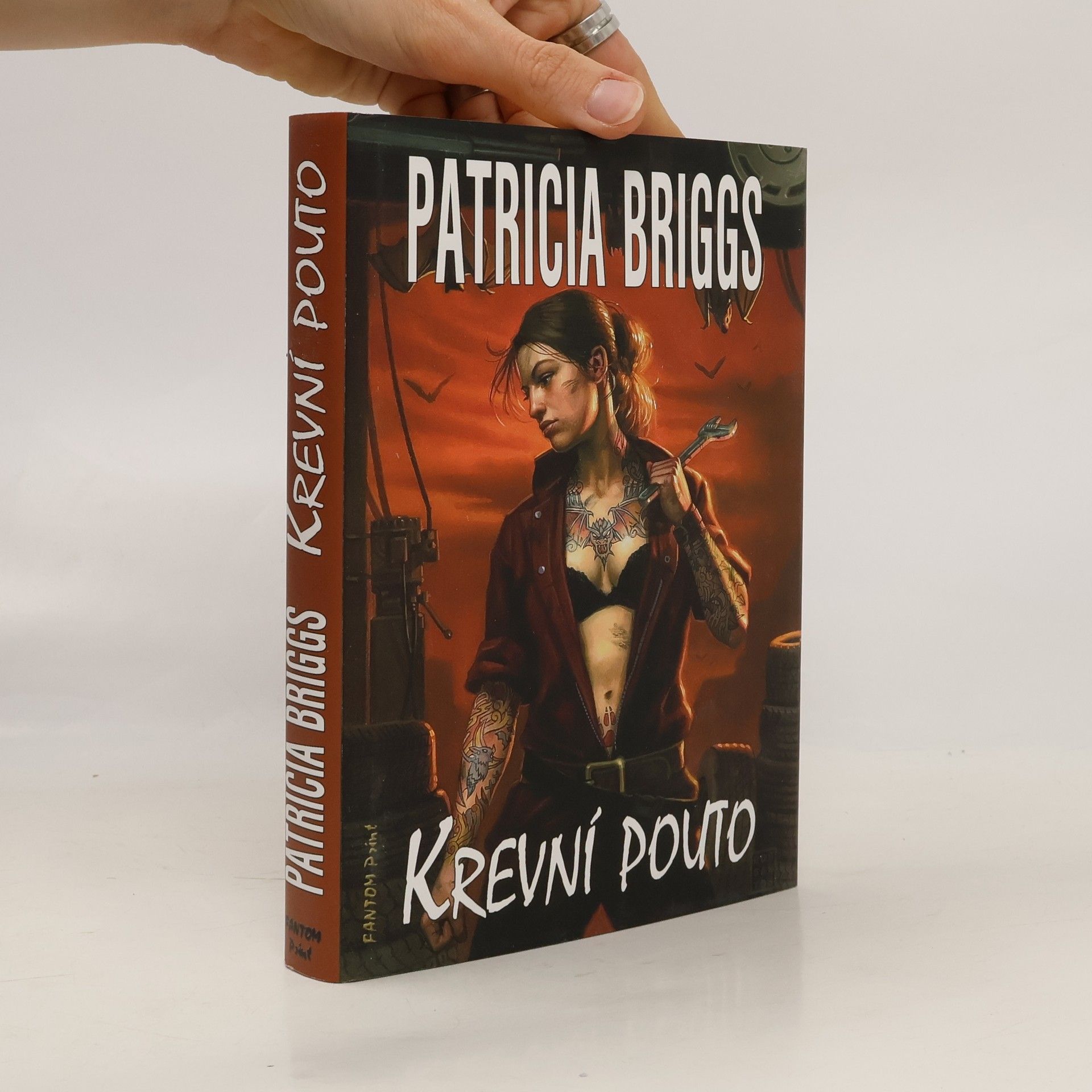 Patricia Briggs Krevní pouto