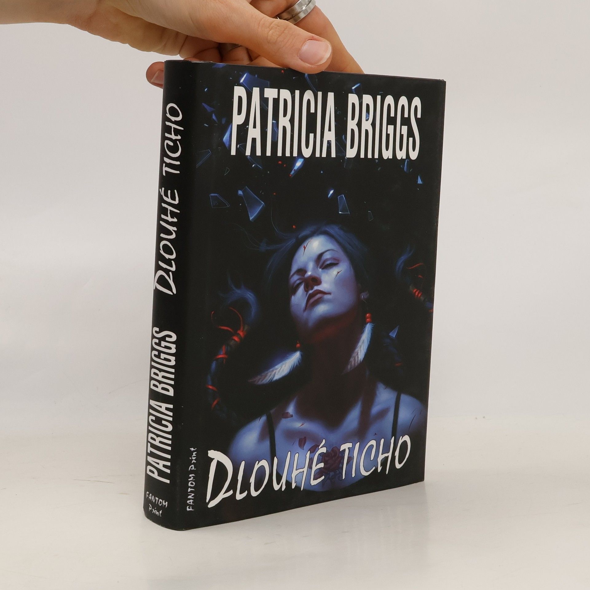 Patricia Briggs Dlouhé ticho