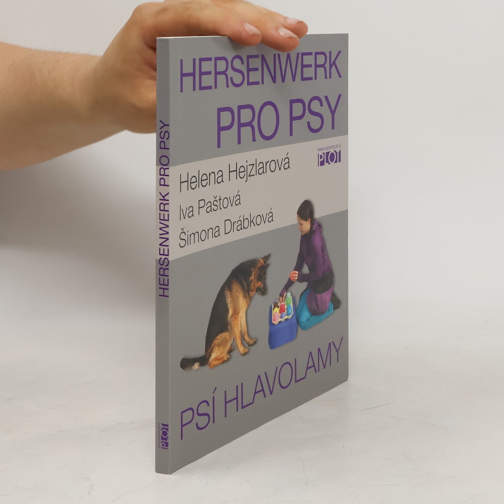Hersenwerk pro psy
