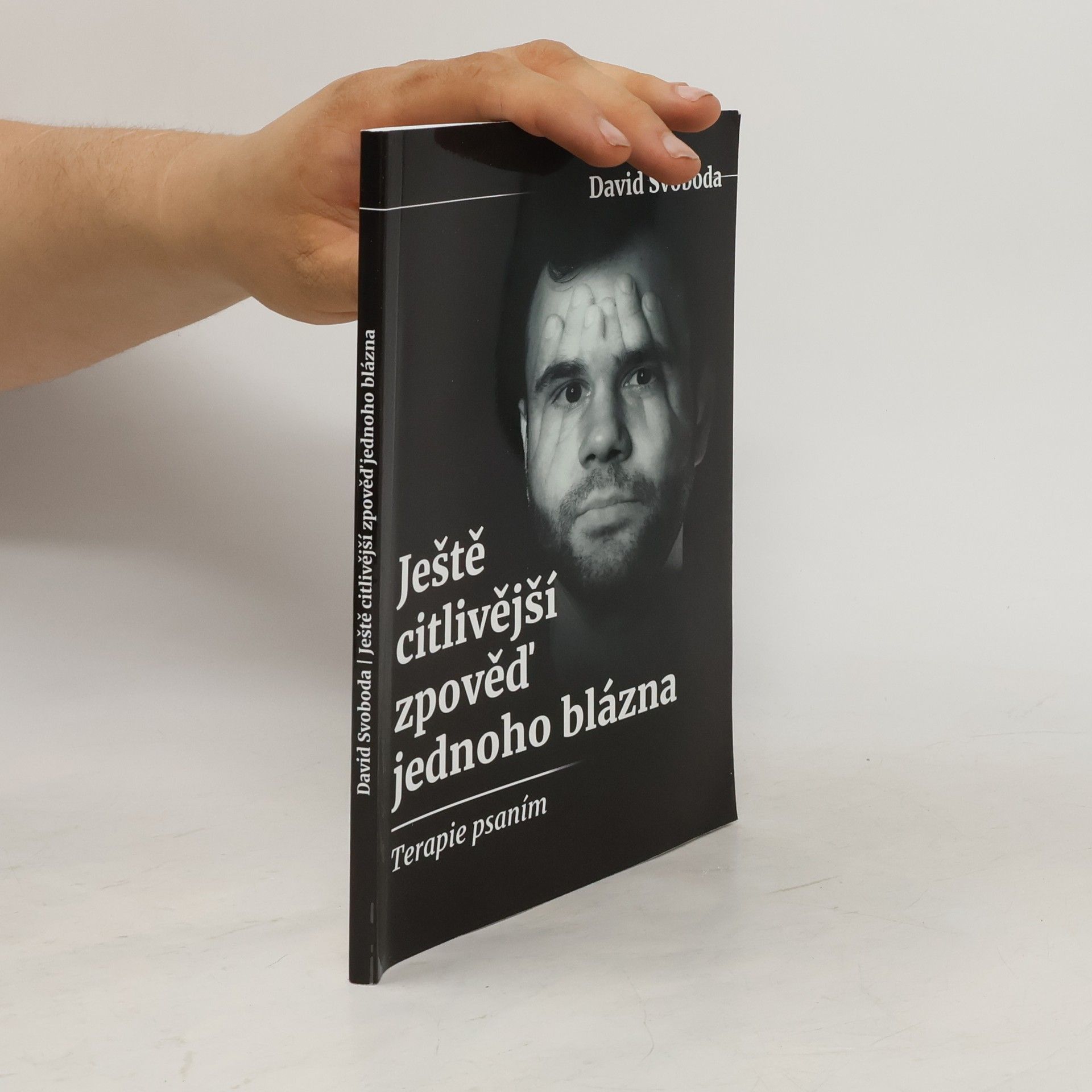 David Svoboda Ještě citlivější zpověď jednoho blázna. Terapie psaním