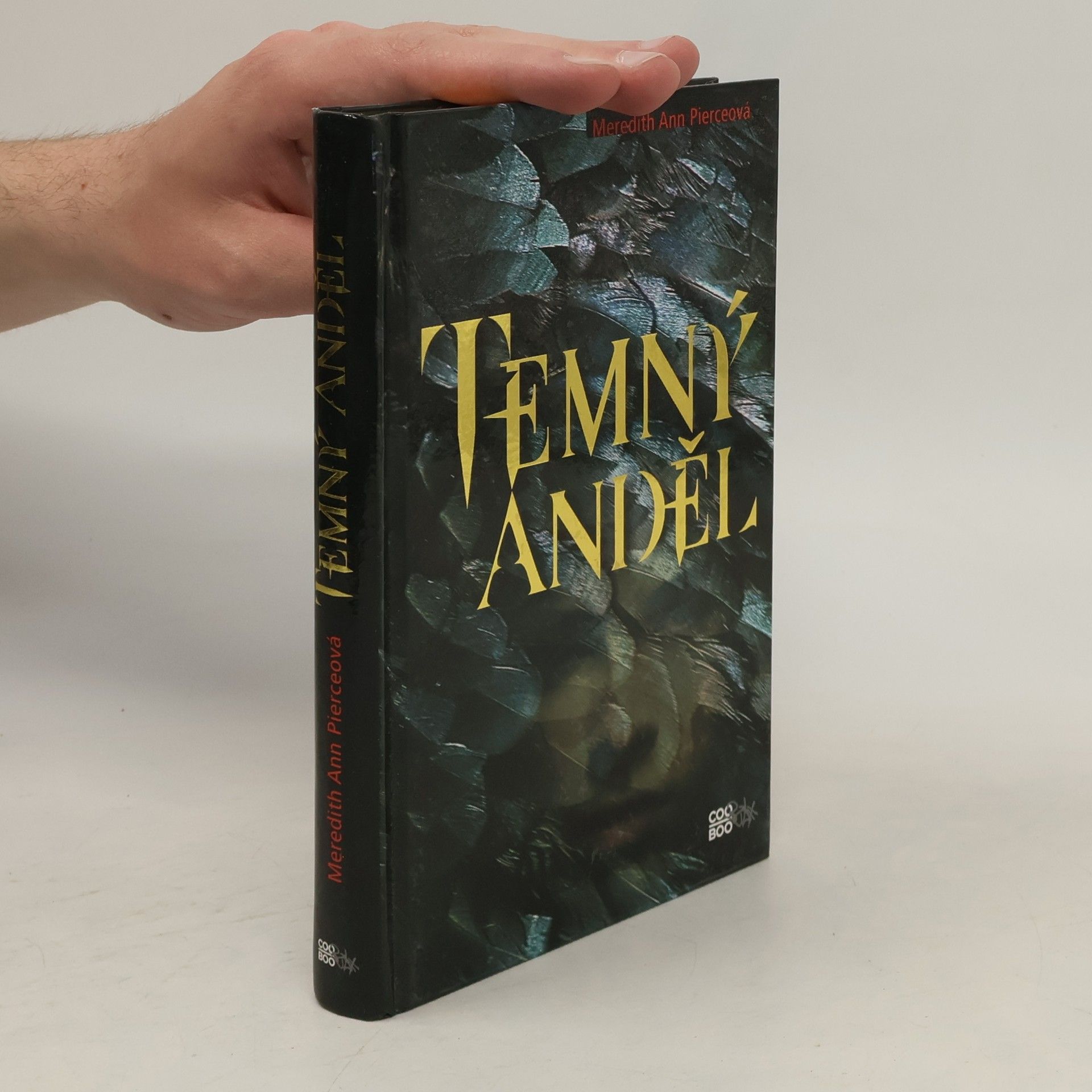 Meredith Ann Pierce Temný anděl
