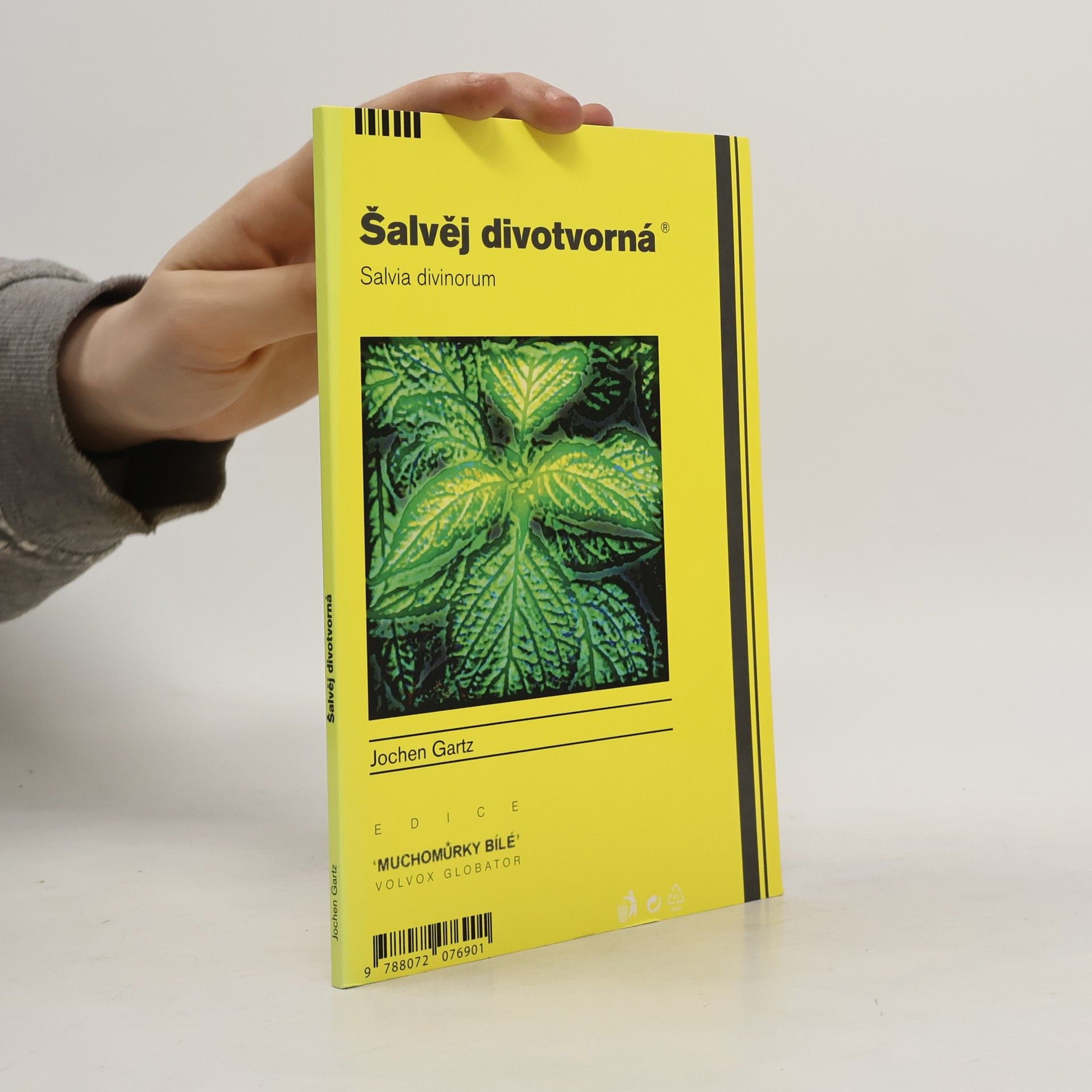 Jochen Gartz Šalvěj divotvorná
