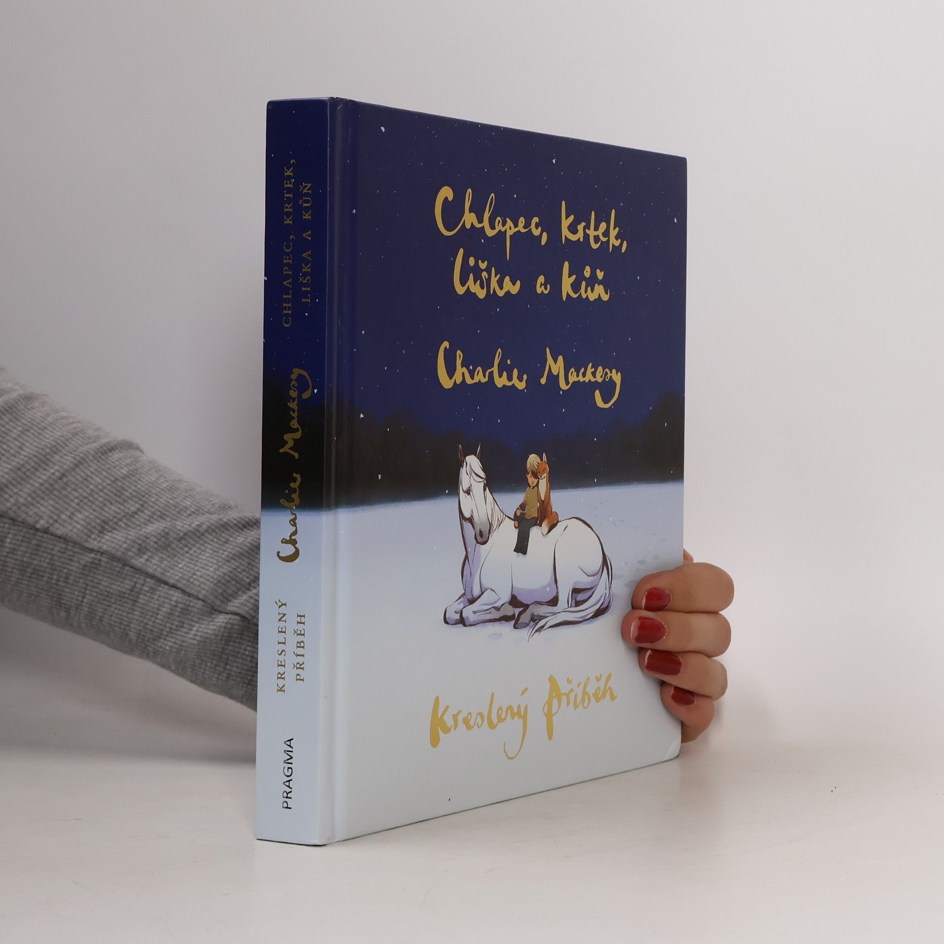 Charlie Mackesy Chlapec, krtek, liška a kůň : kreslený příběh