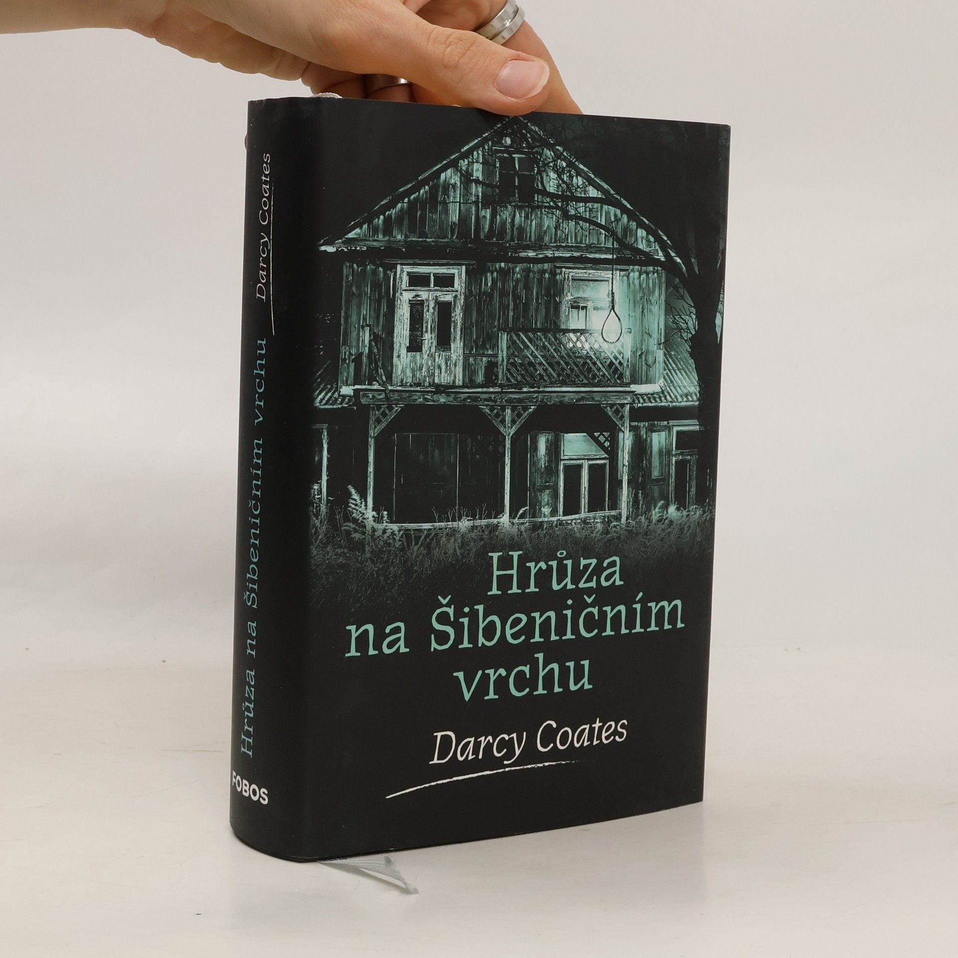 Darcy Coates Hrůza na Šibeničním vrchu