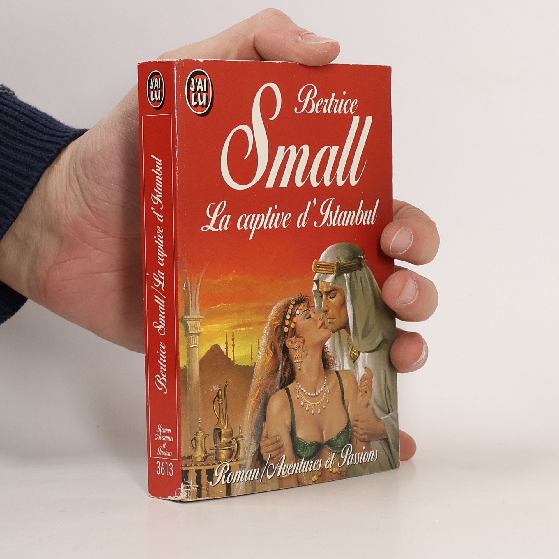 Bertrice Small La captive d'Istambul