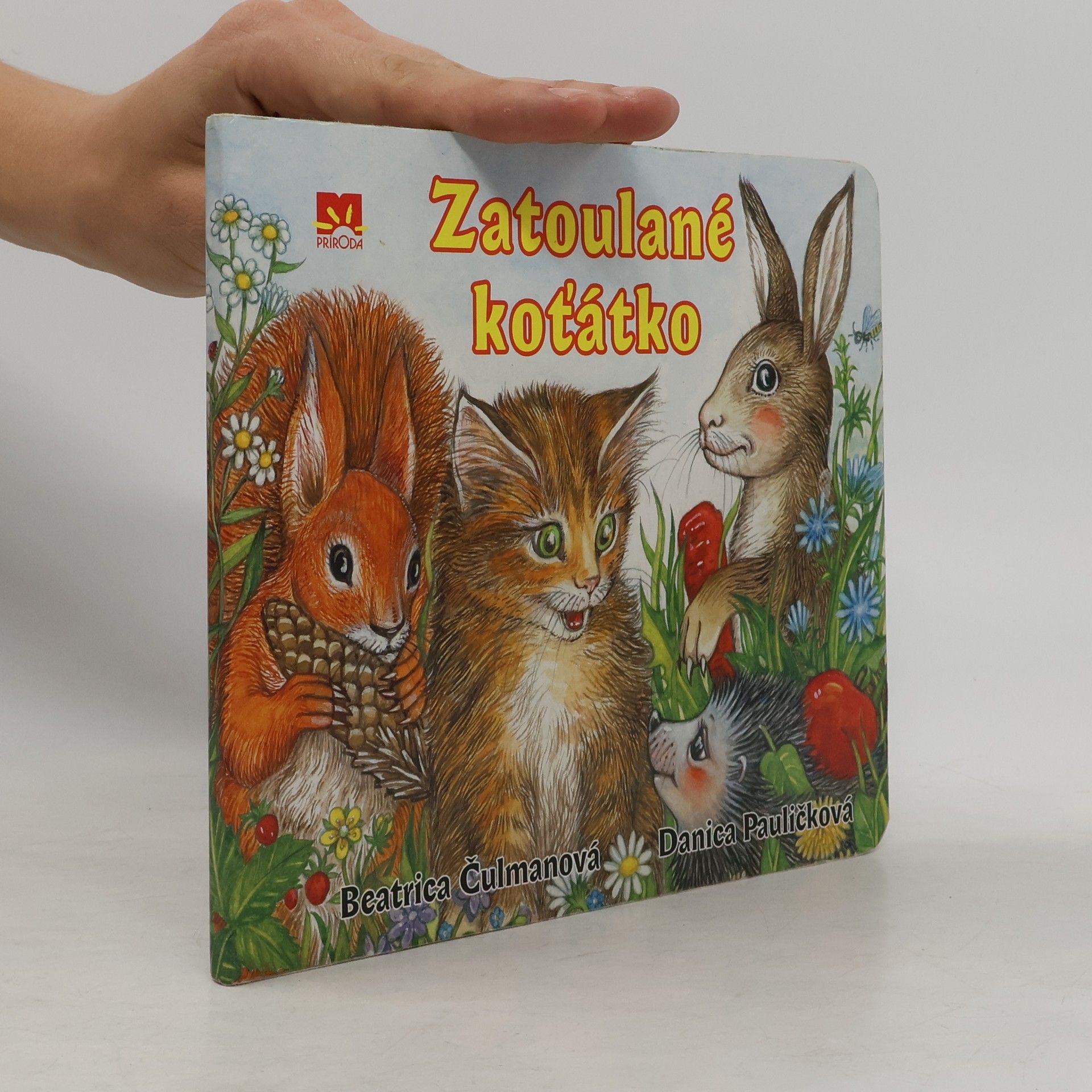 Danica Pauličková Zatoulané koťátko