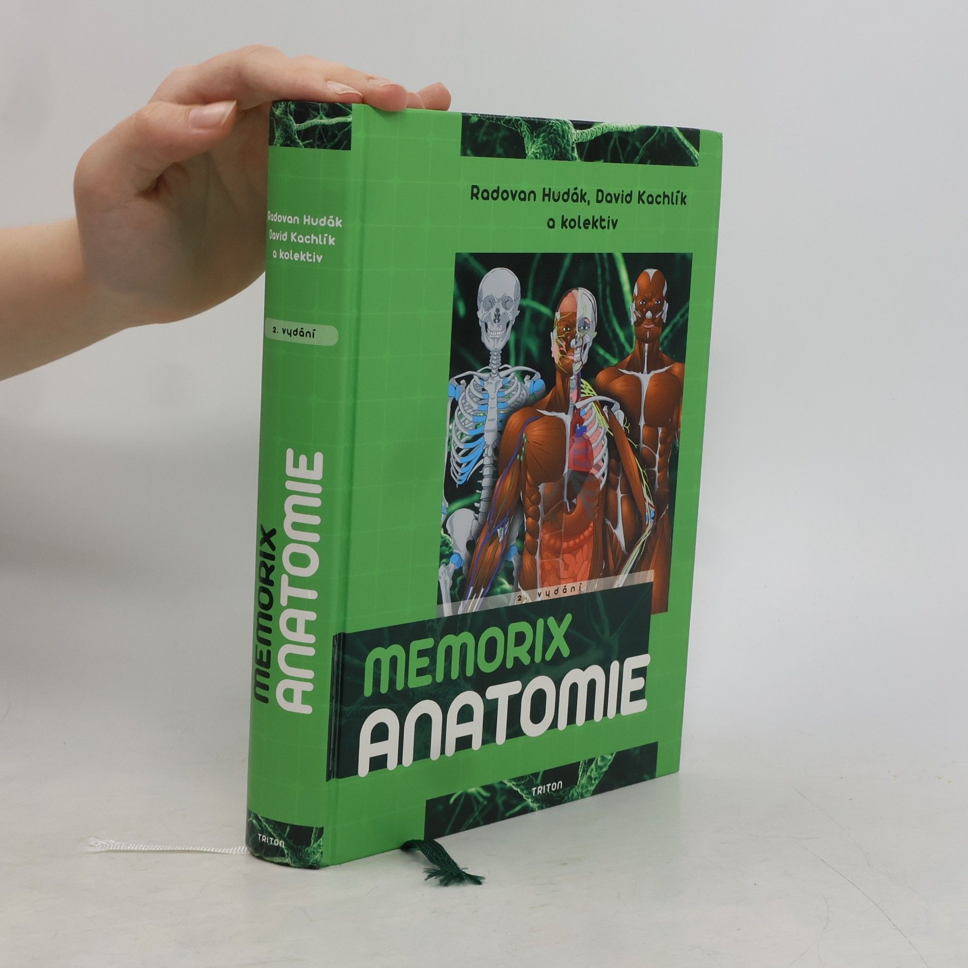 Memorix anatomie