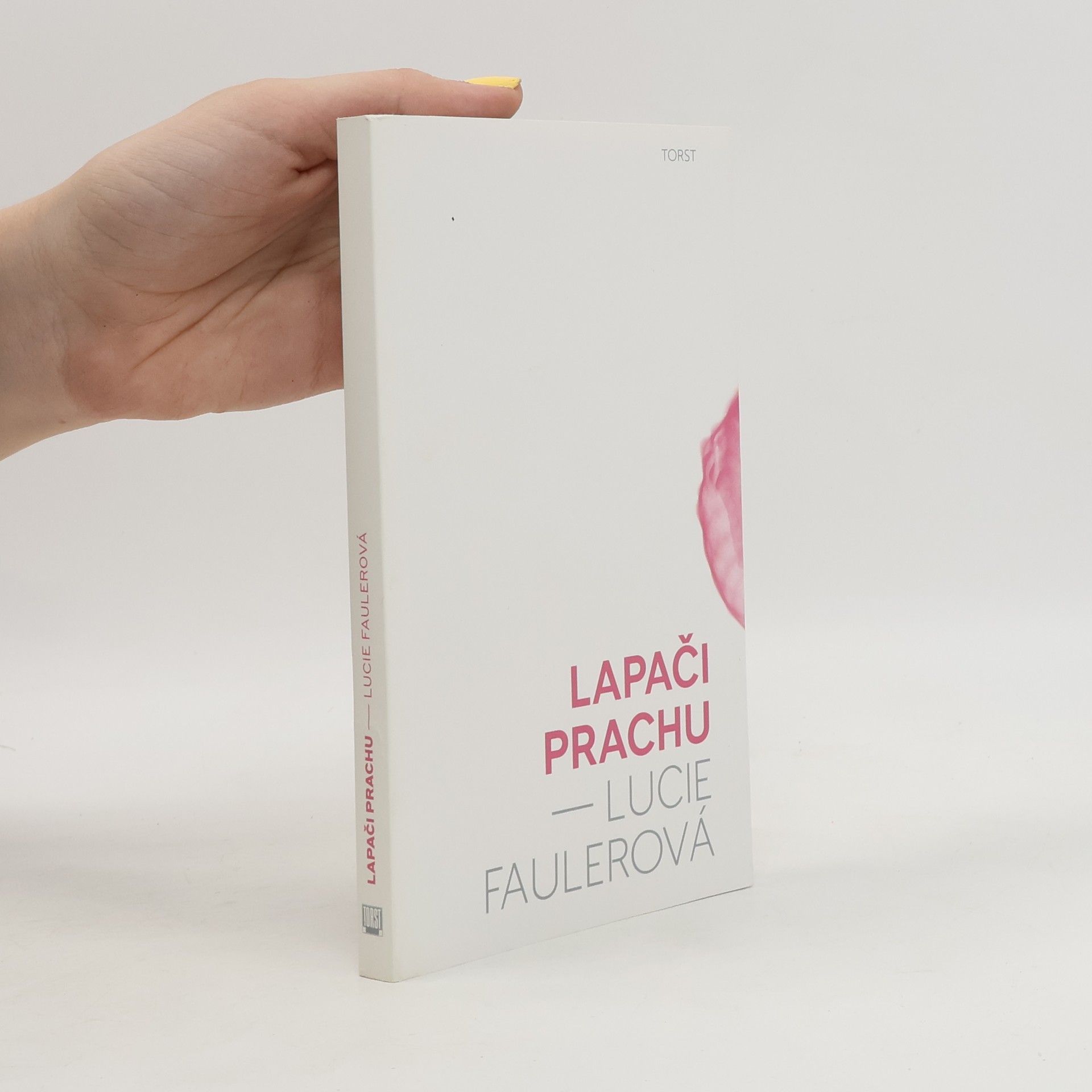 Lucie Faulerová Lapači prachu