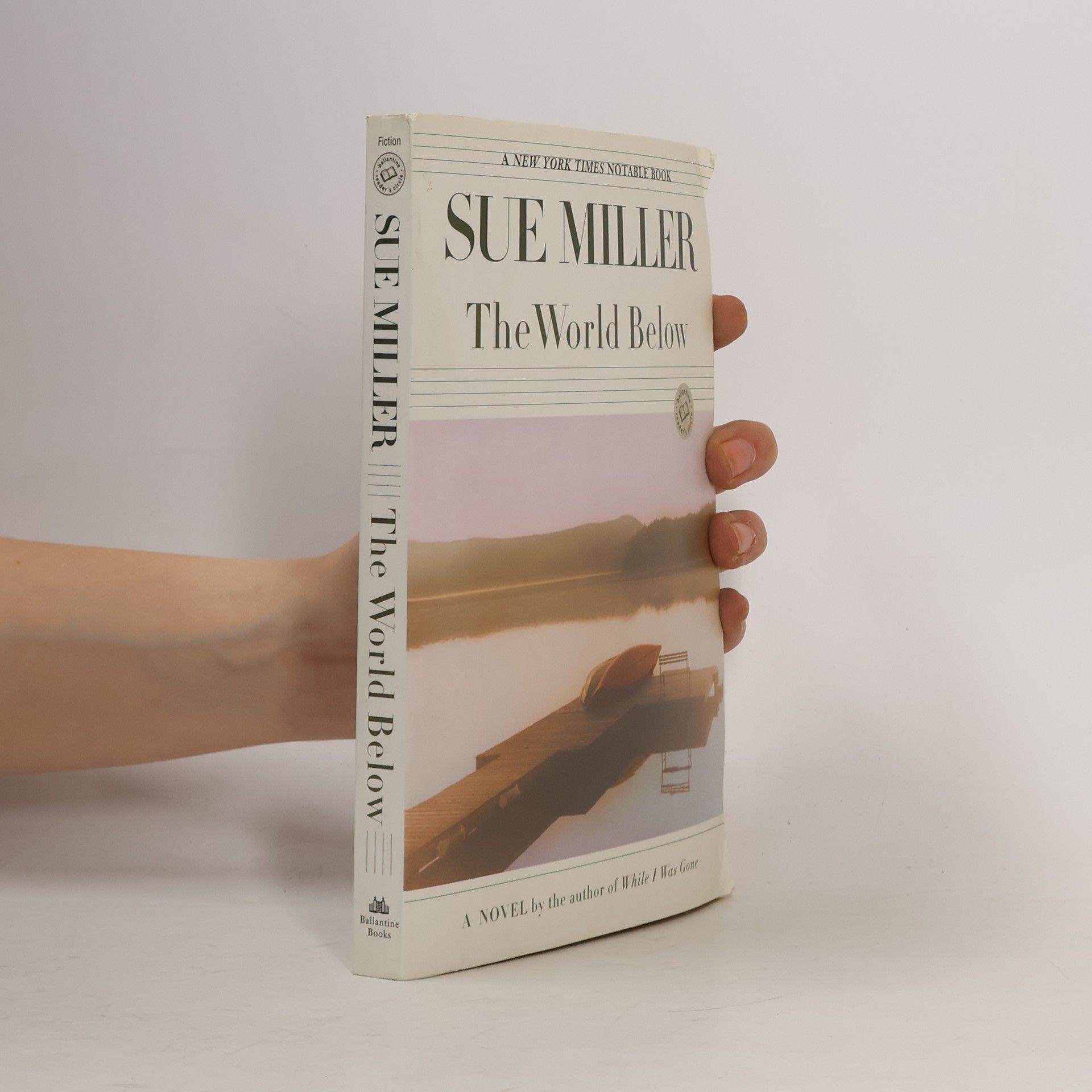 Sue Miller The World Below