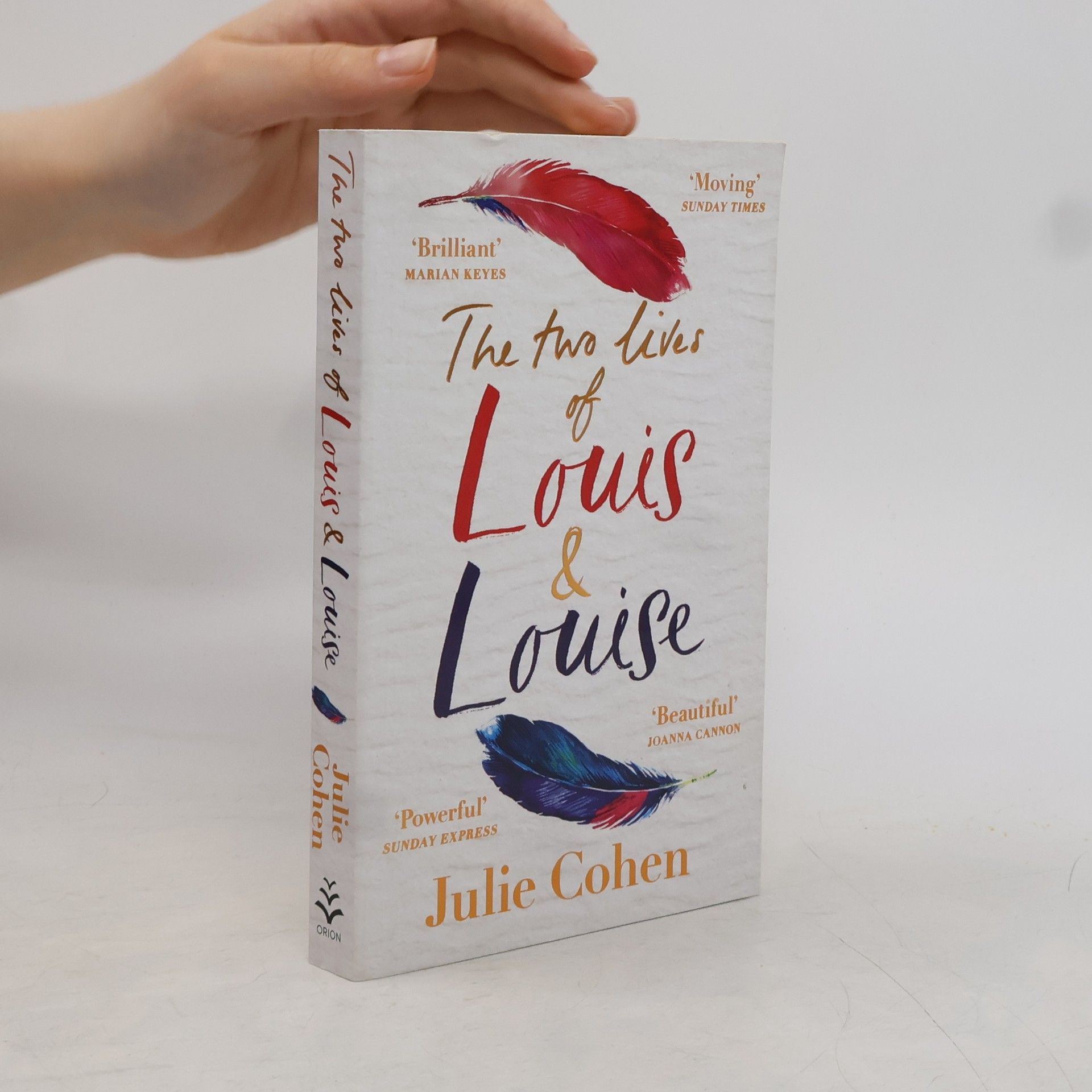 Julie Cohen The Two Lives of Louis & Louise