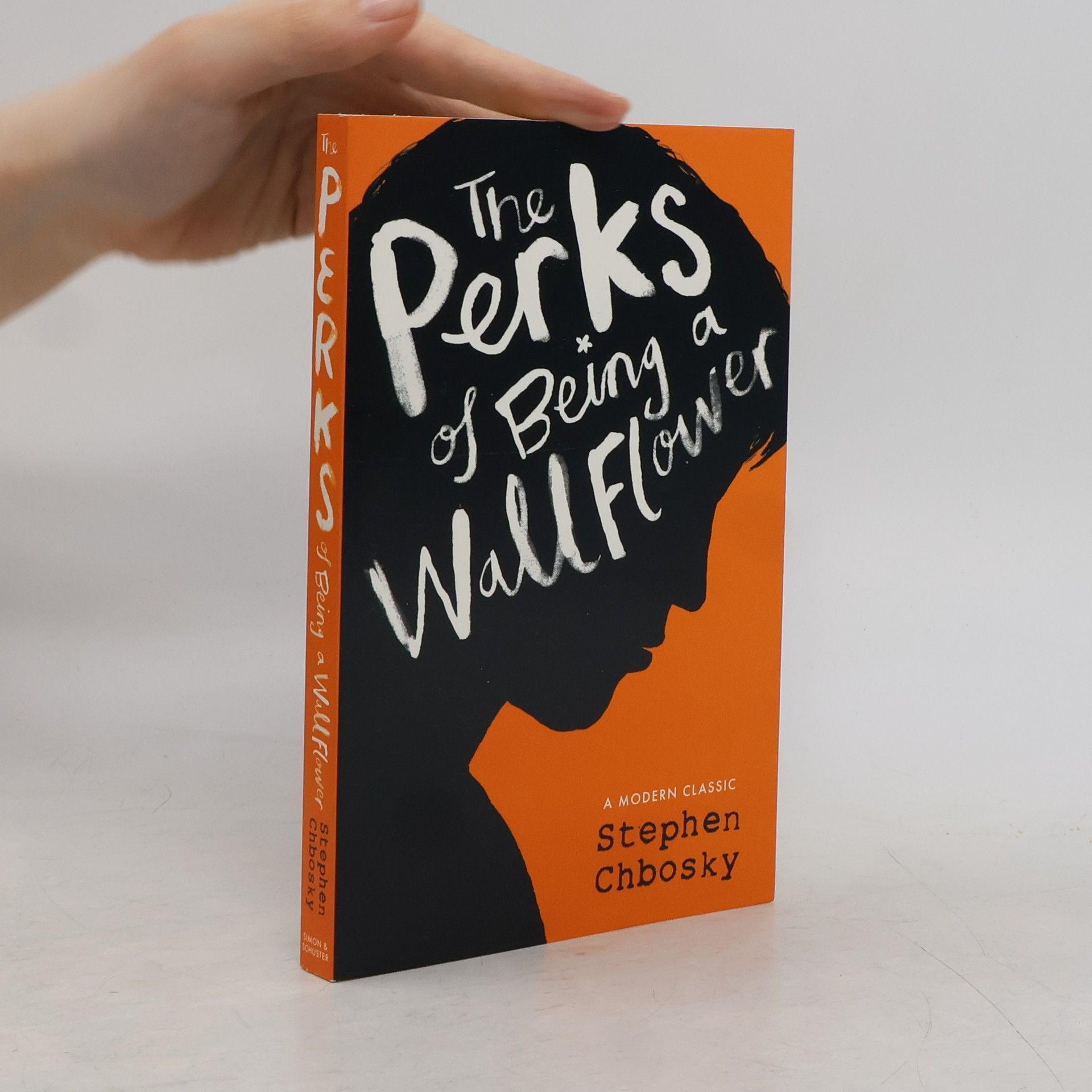 Stephen Chbosky The Perks of Being a Wallflower