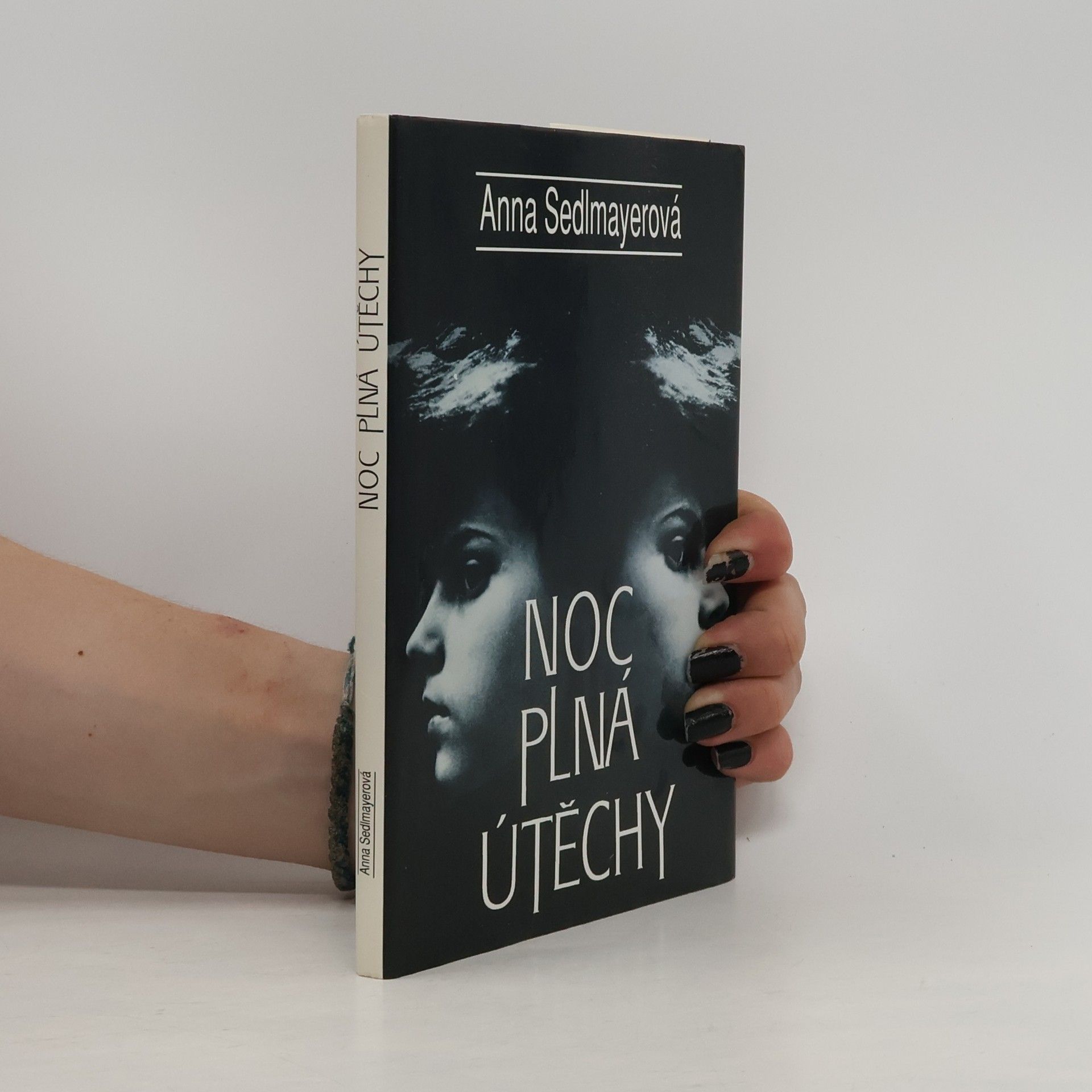 Anna Sedlmayerová Noc plná útěchy