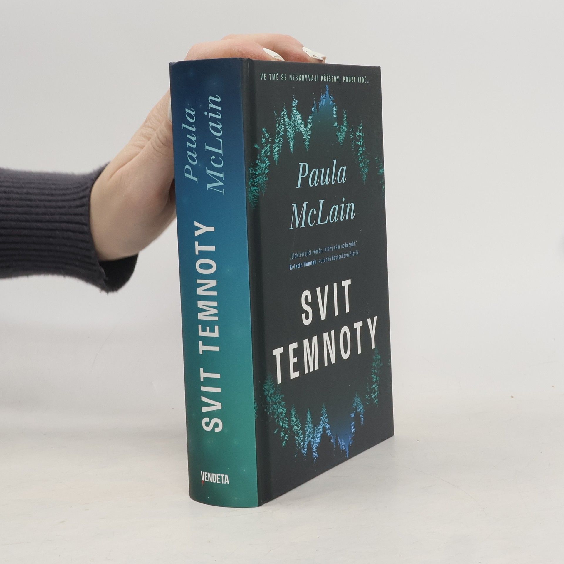Paula McLain Svit temnoty