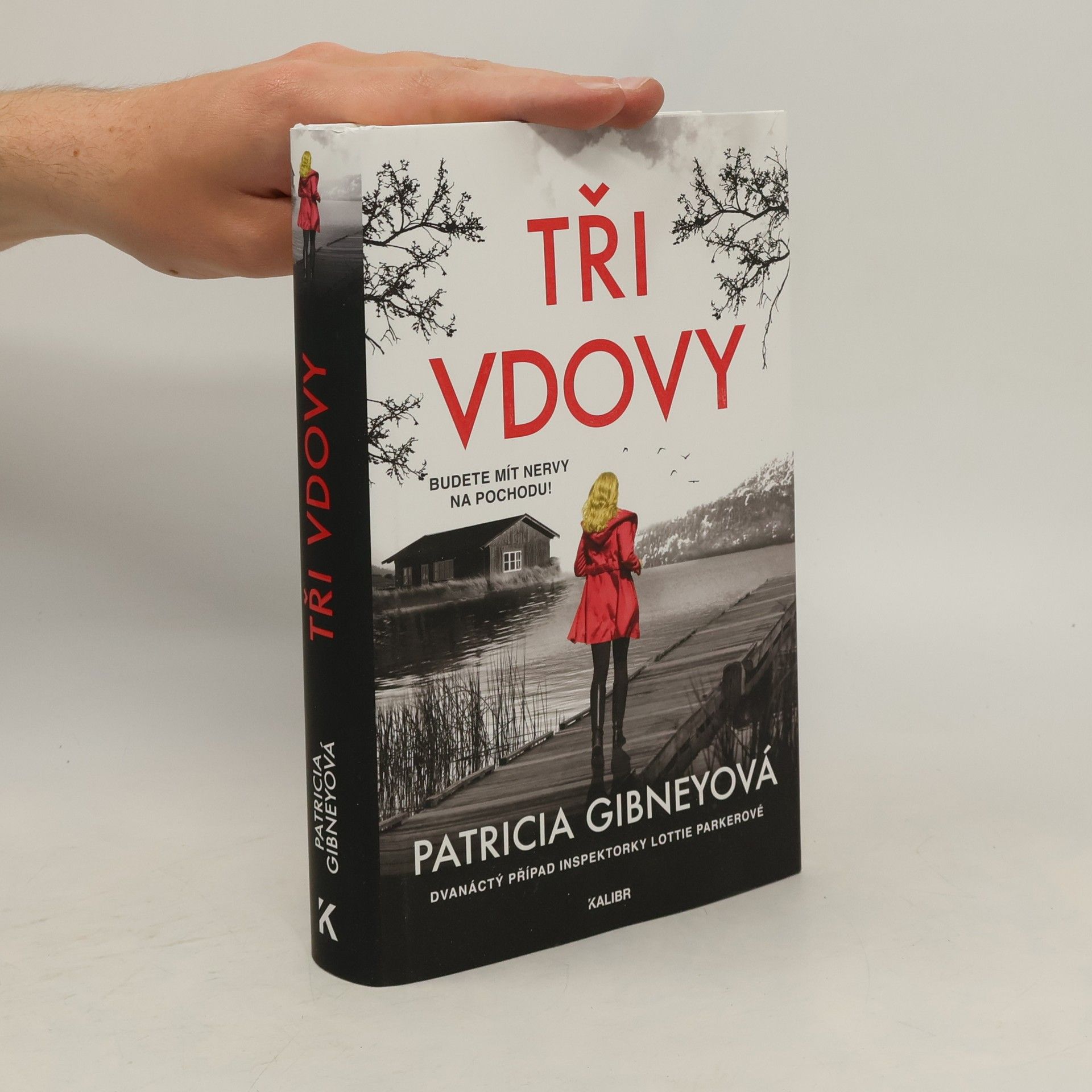Patricia Gibney Tři vdovy