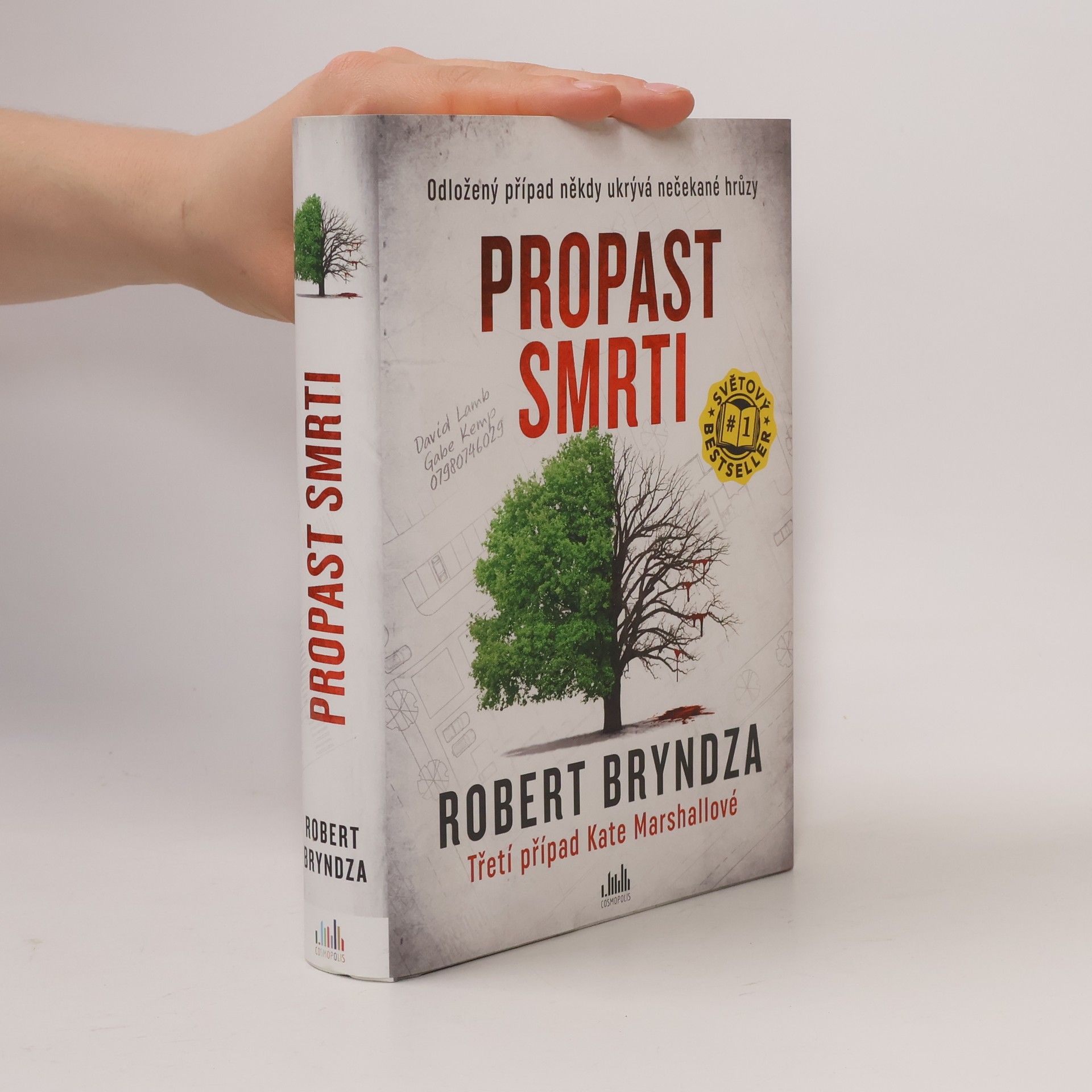 Robert Bryndza Propast smrti