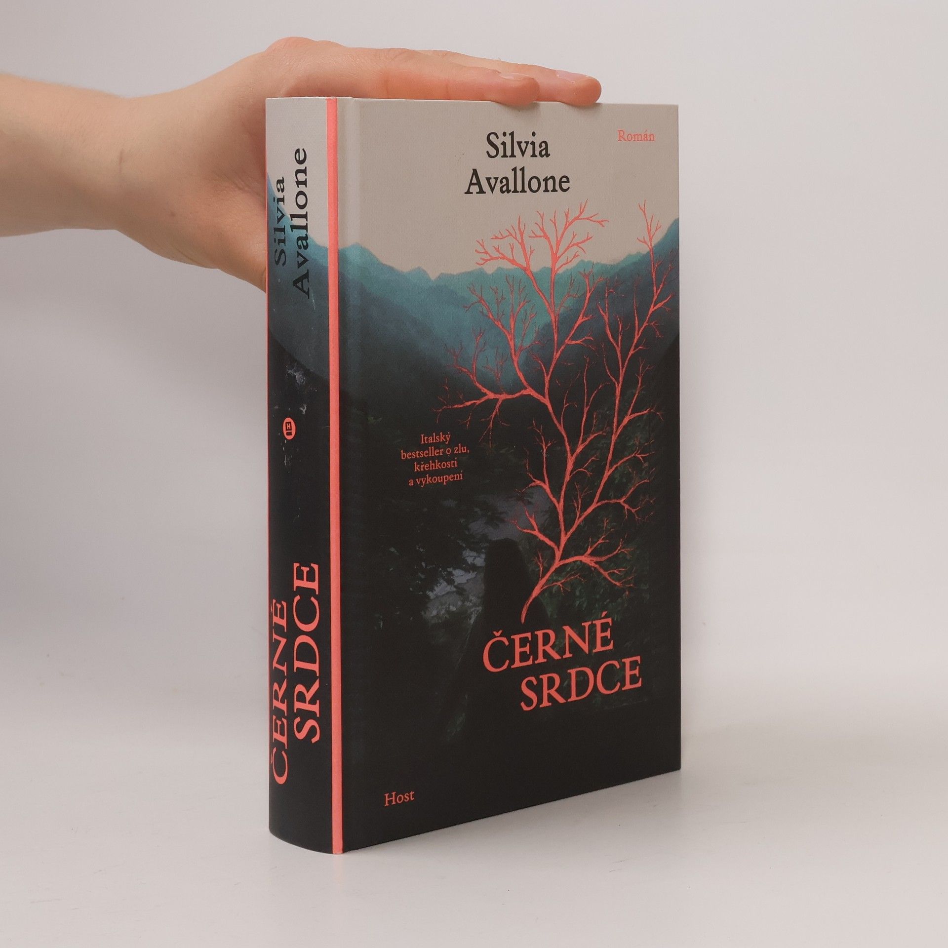 Silvia Avallone Černé srdce