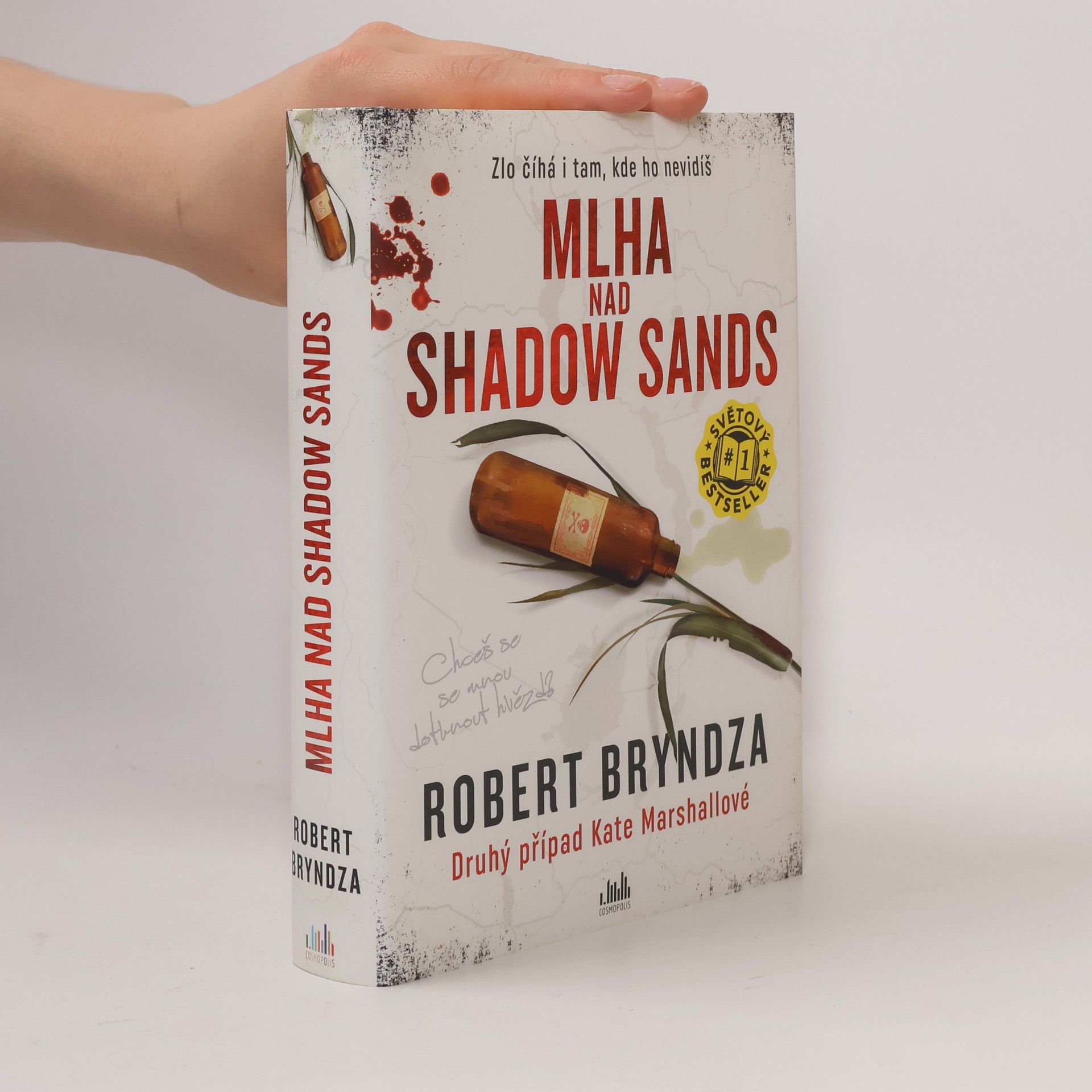 Robert Bryndza Mlha nad Shadow Sands