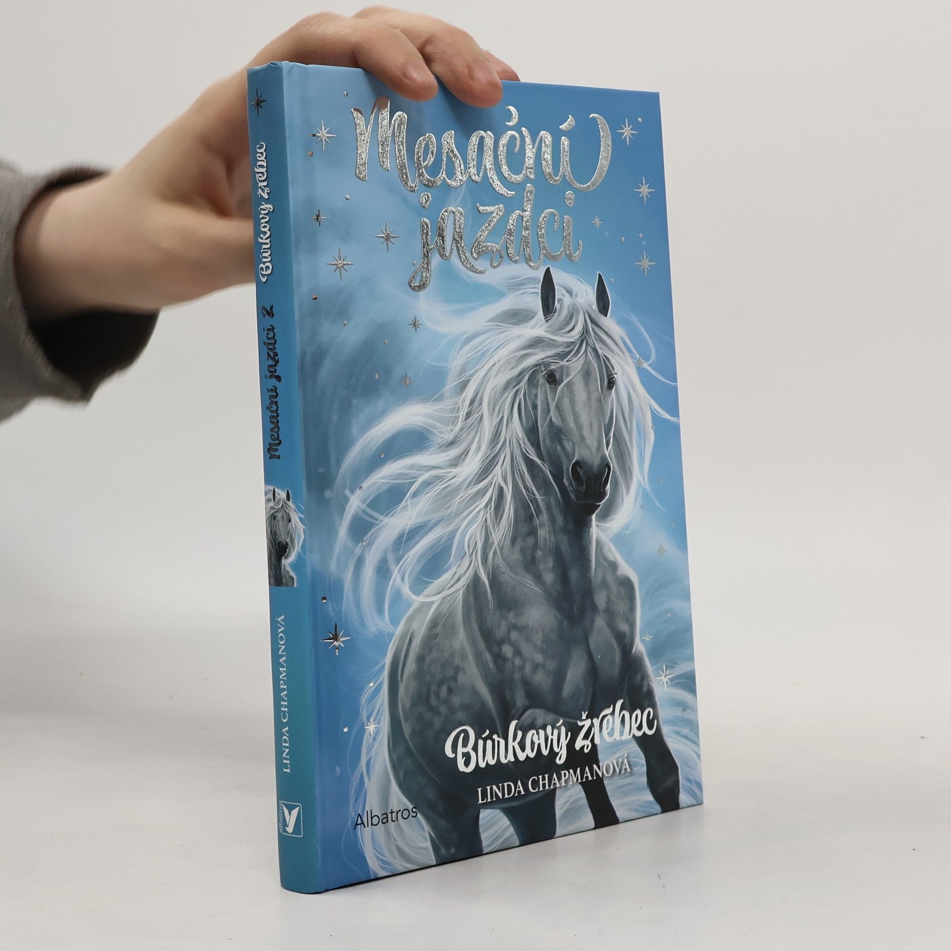Linda Chapman Mesační jazdci 2: Búrkový žrebec