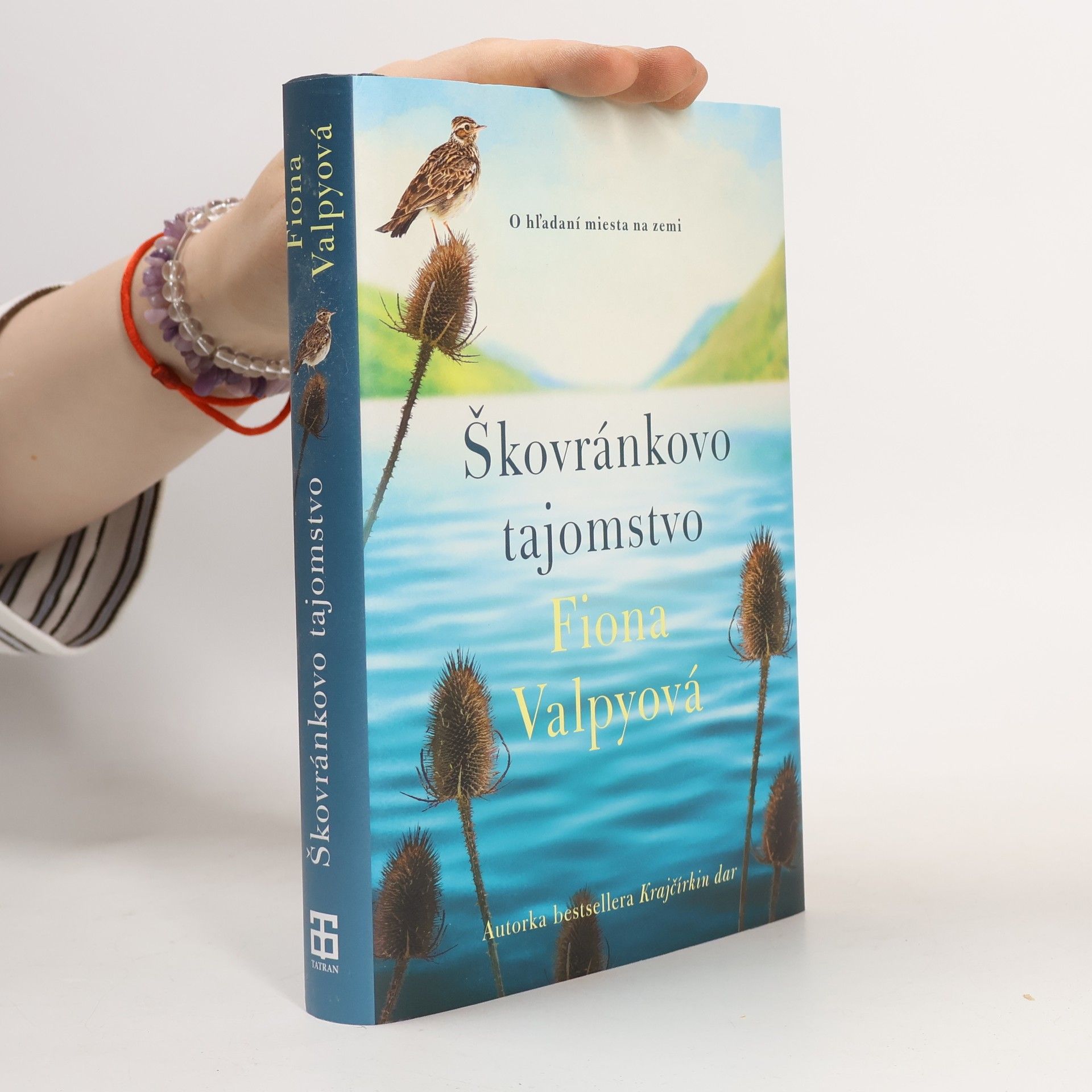Fiona Valpy Škovránkovo tajomstvo