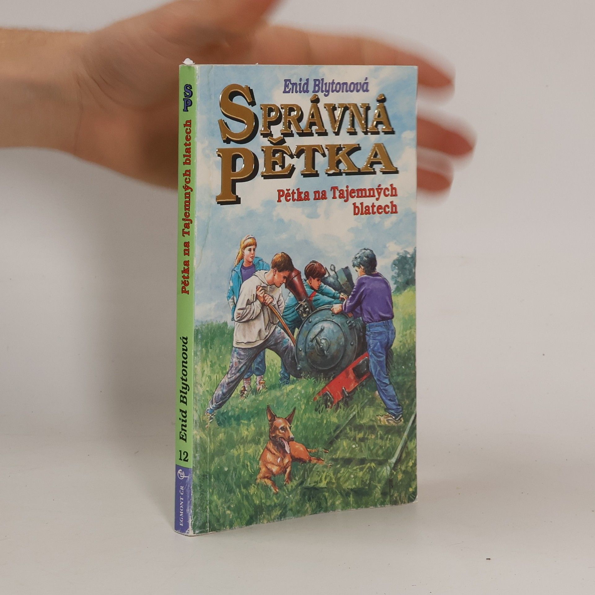 Enid Blyton Správná pětka: Pětka na Tajemných blatech