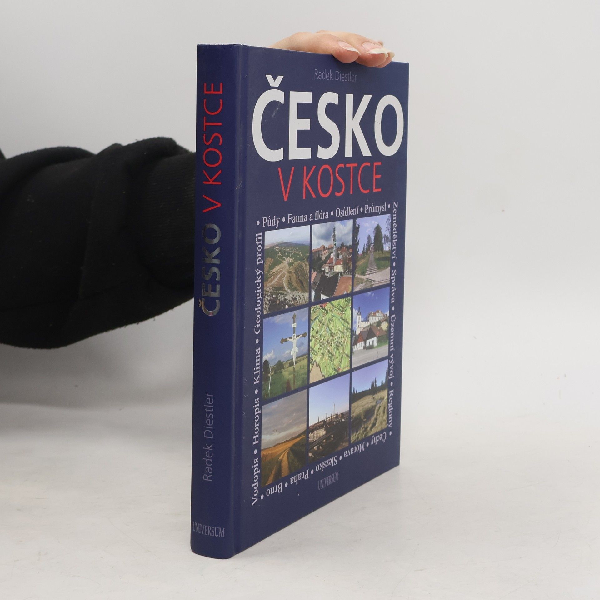 Radek Diestler Česko v kostce : netradiční vlastivěda pro každého