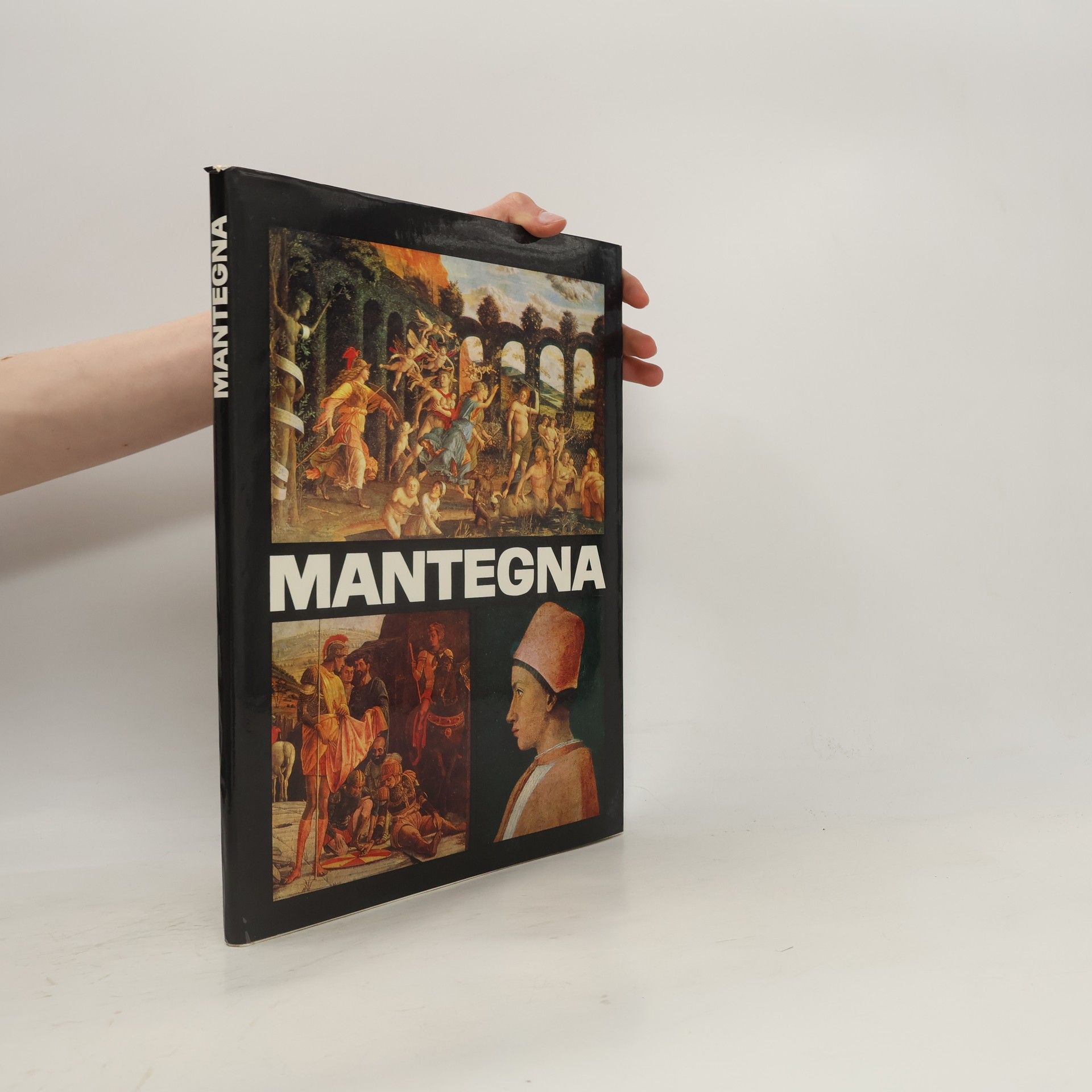Autores varios Mantegna