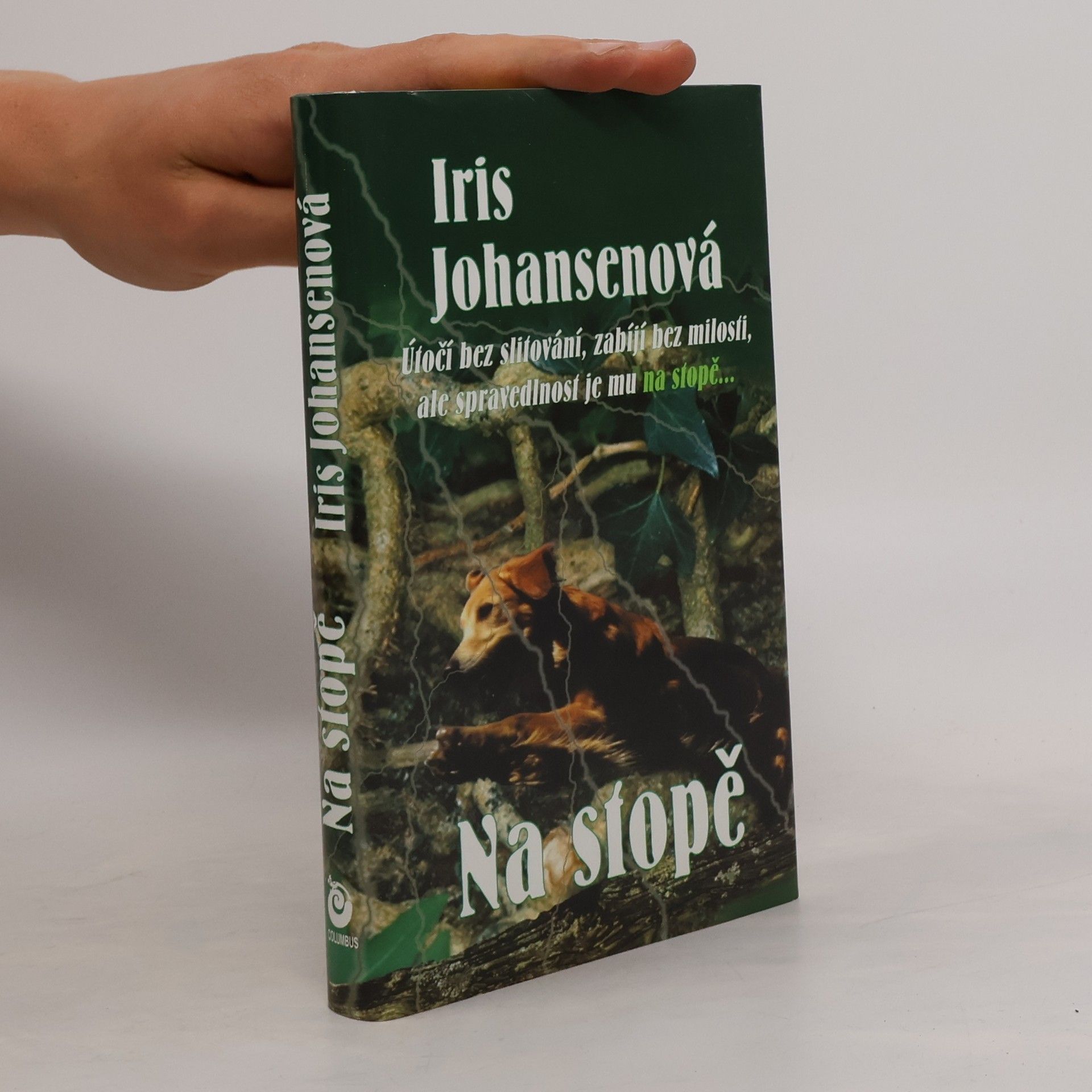 Iris Johansen Na stopě