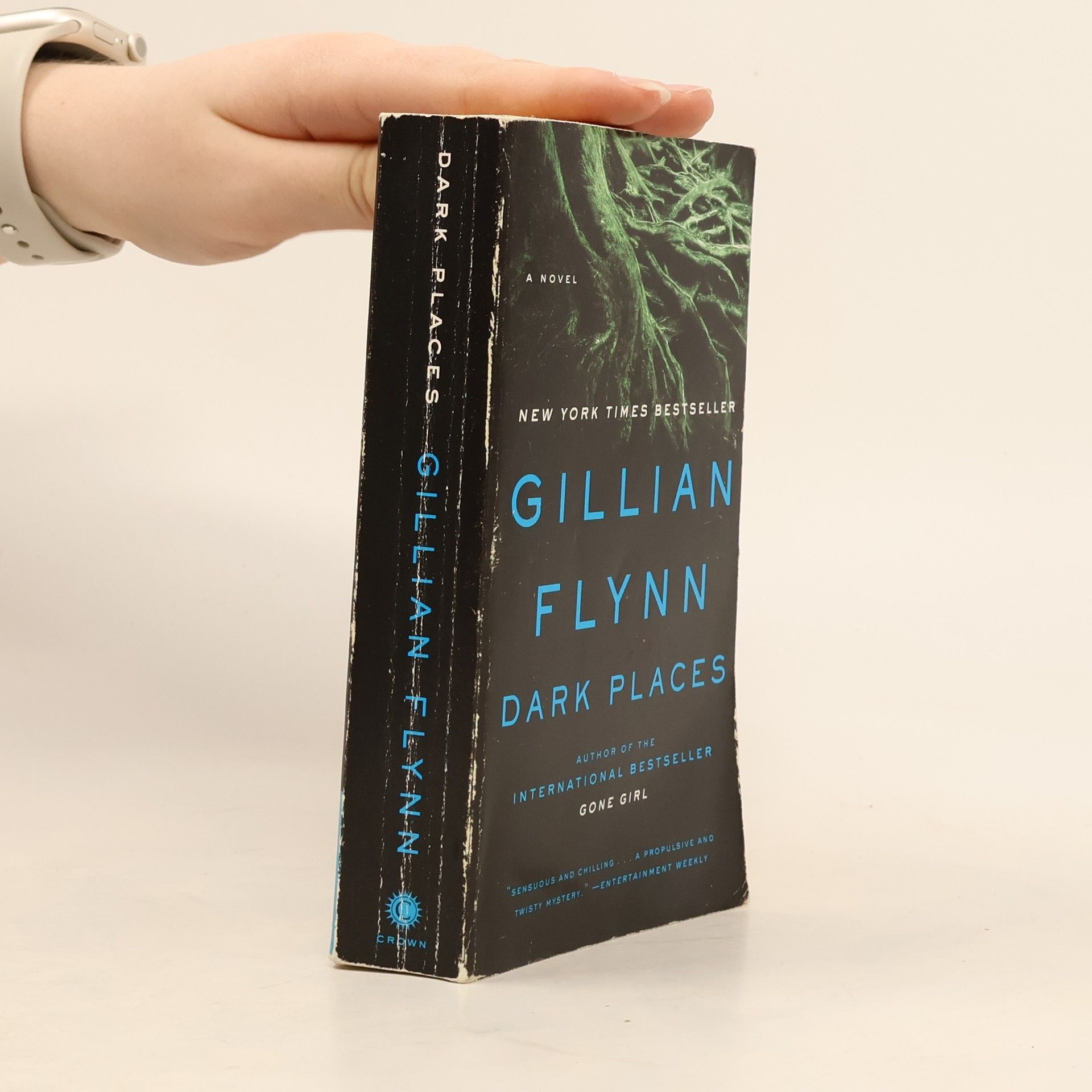 Gillian Flynn Dark Places