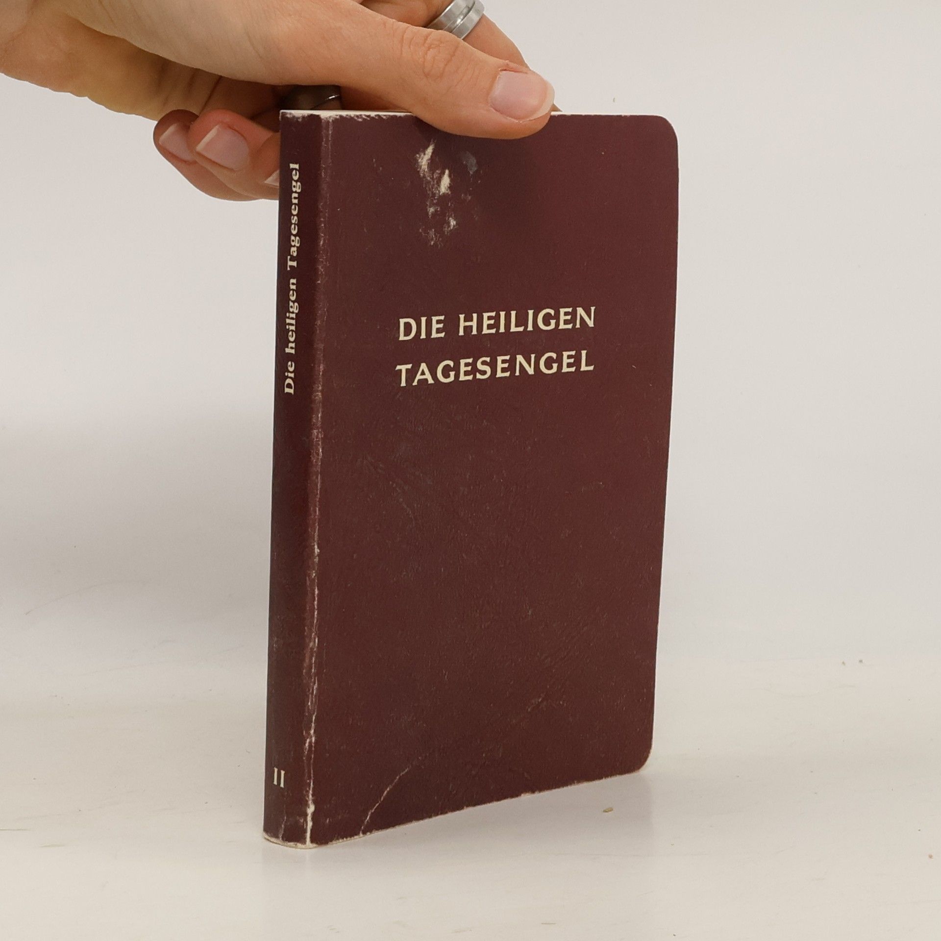 Kolektiv autorů Die heiligen Tagesengel II.