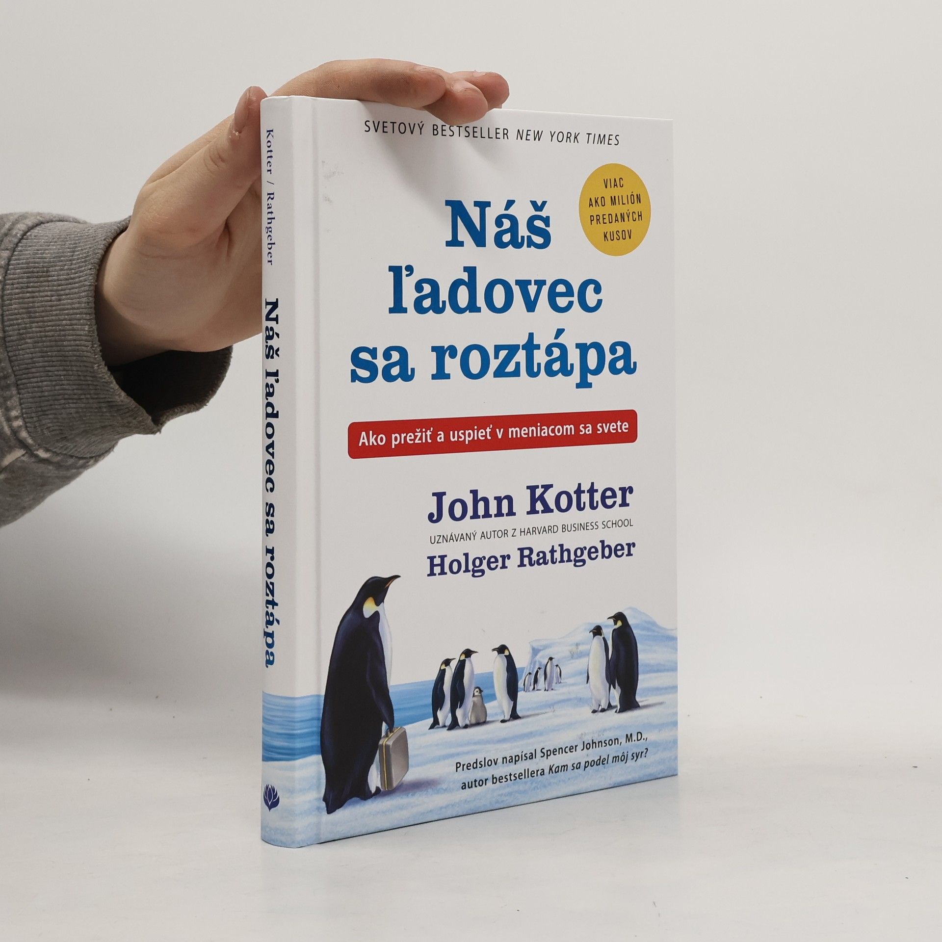 Holger Rathgeber Náš ľadovec sa roztápa