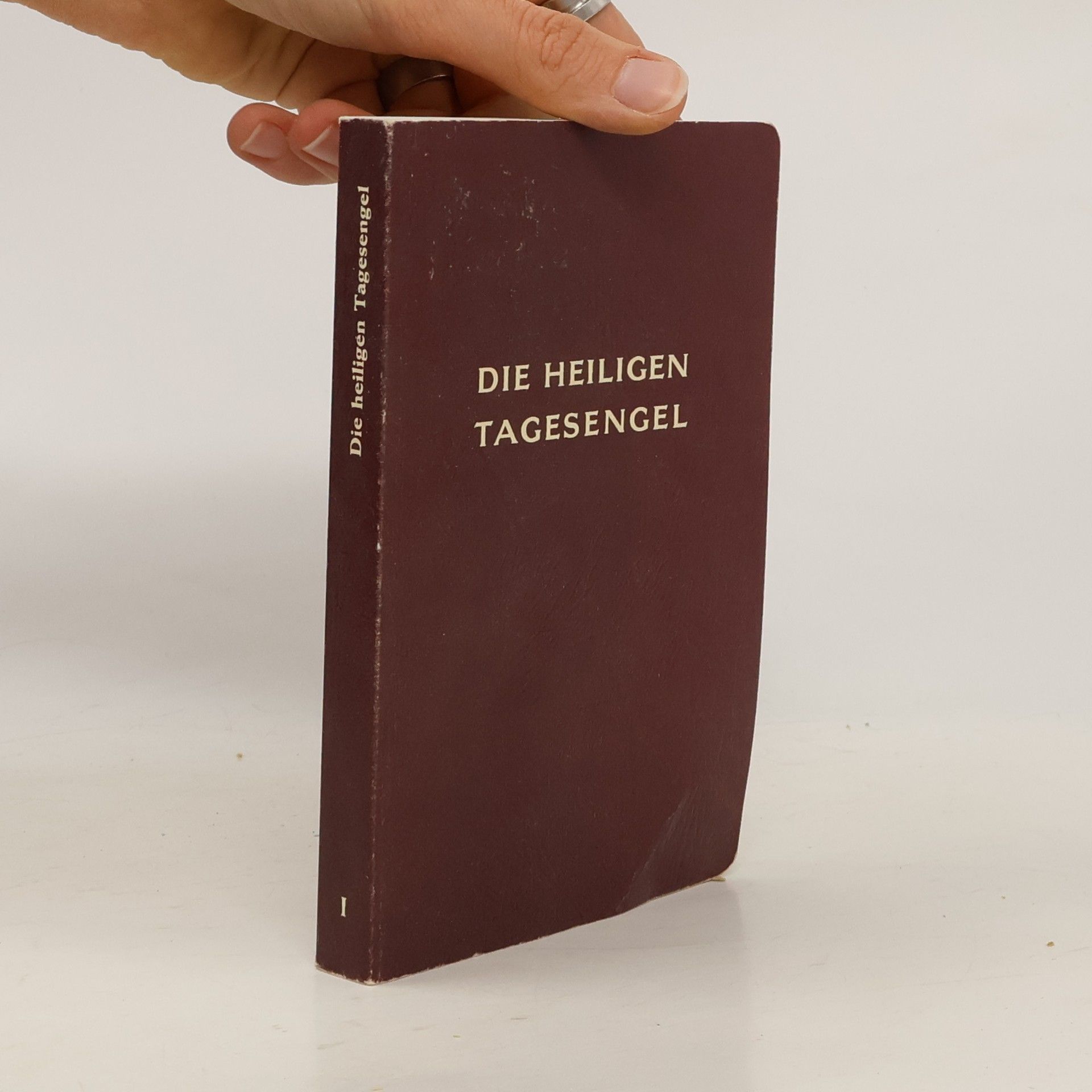 Kolektív autorov Die Heiligen Tagesengel I