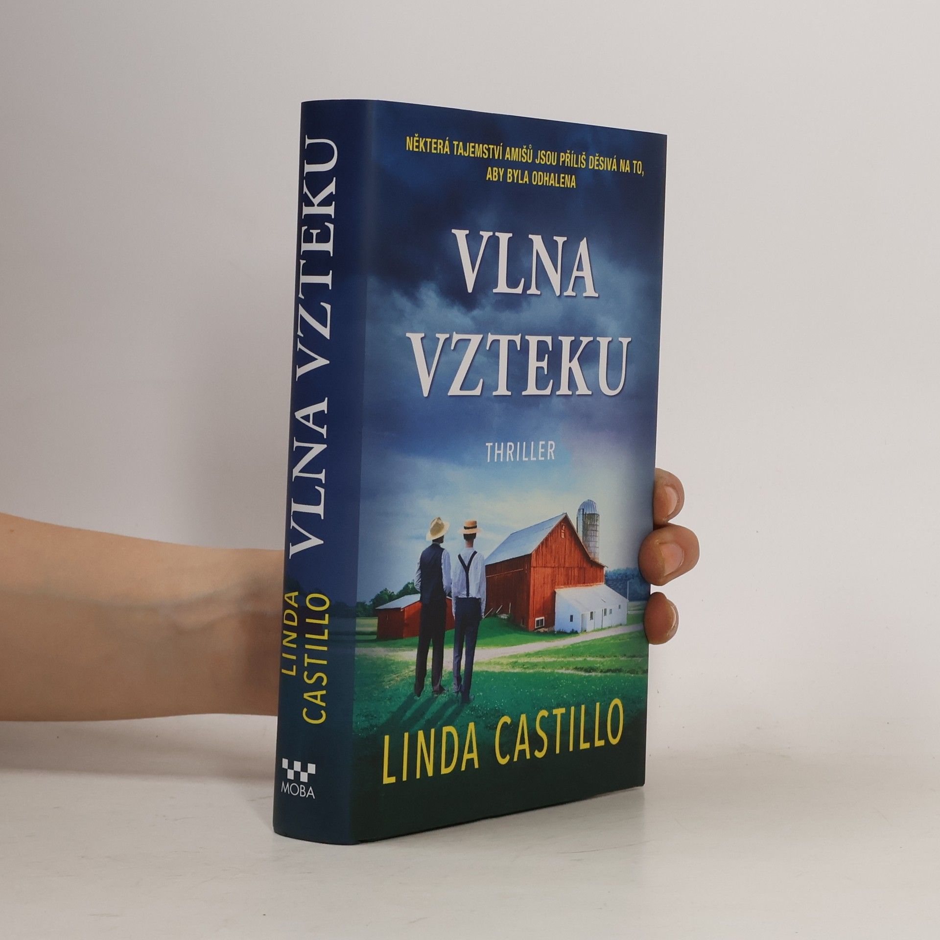 Linda Castillo Vlna vzteku