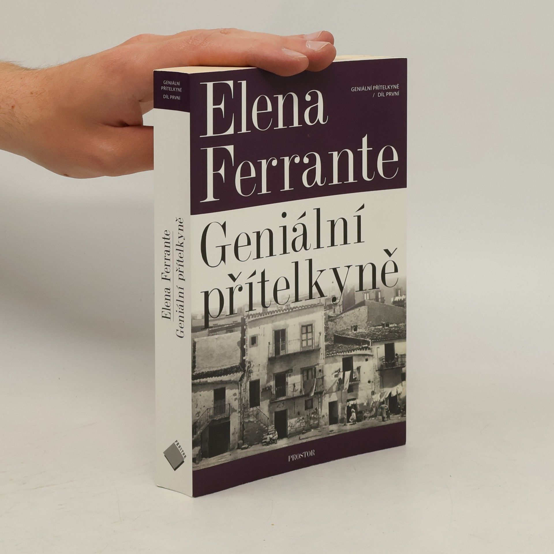Elena Ferrante Geniální přítelkyně 1. Dětství a dospívání