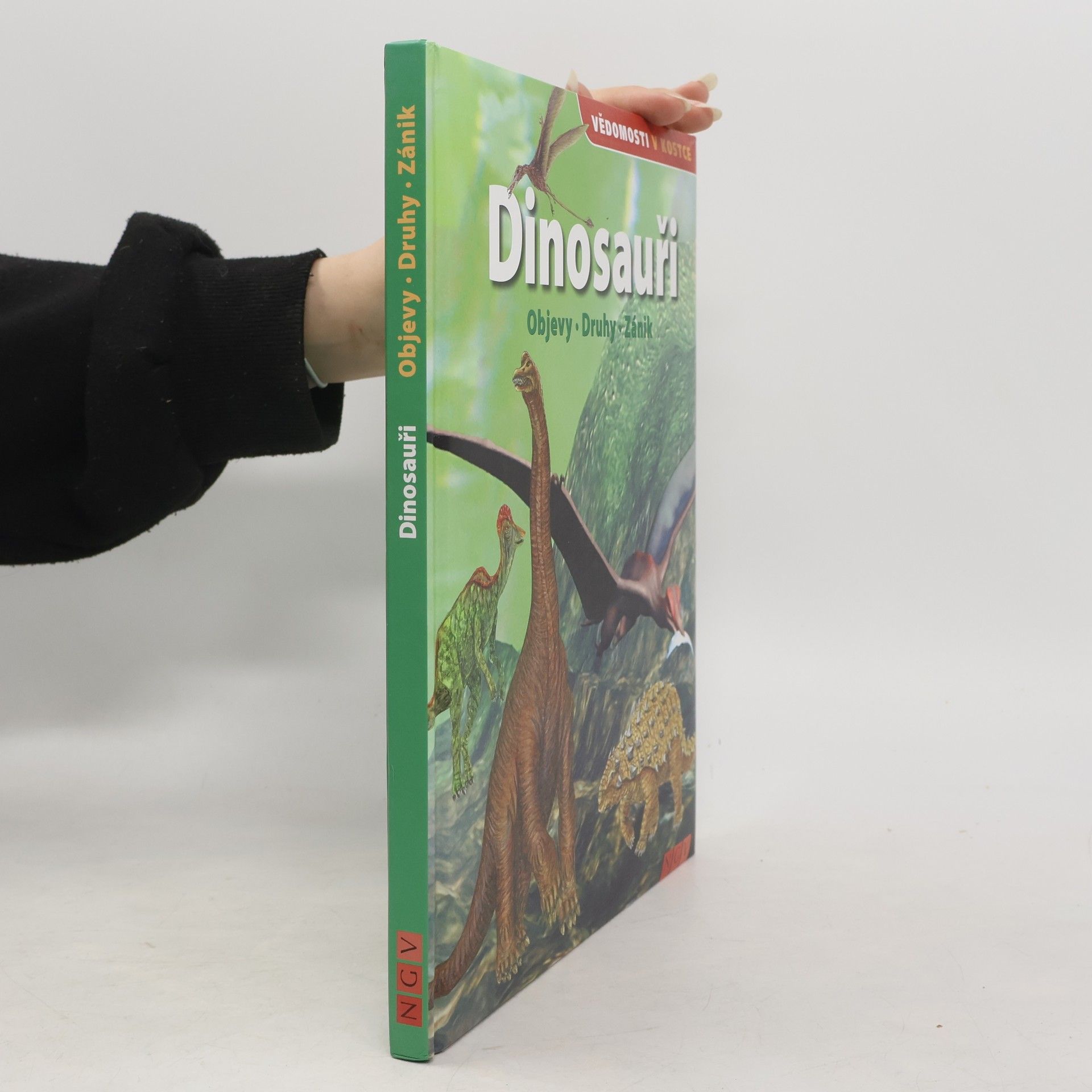 Autorenkollektiv Dinosauři