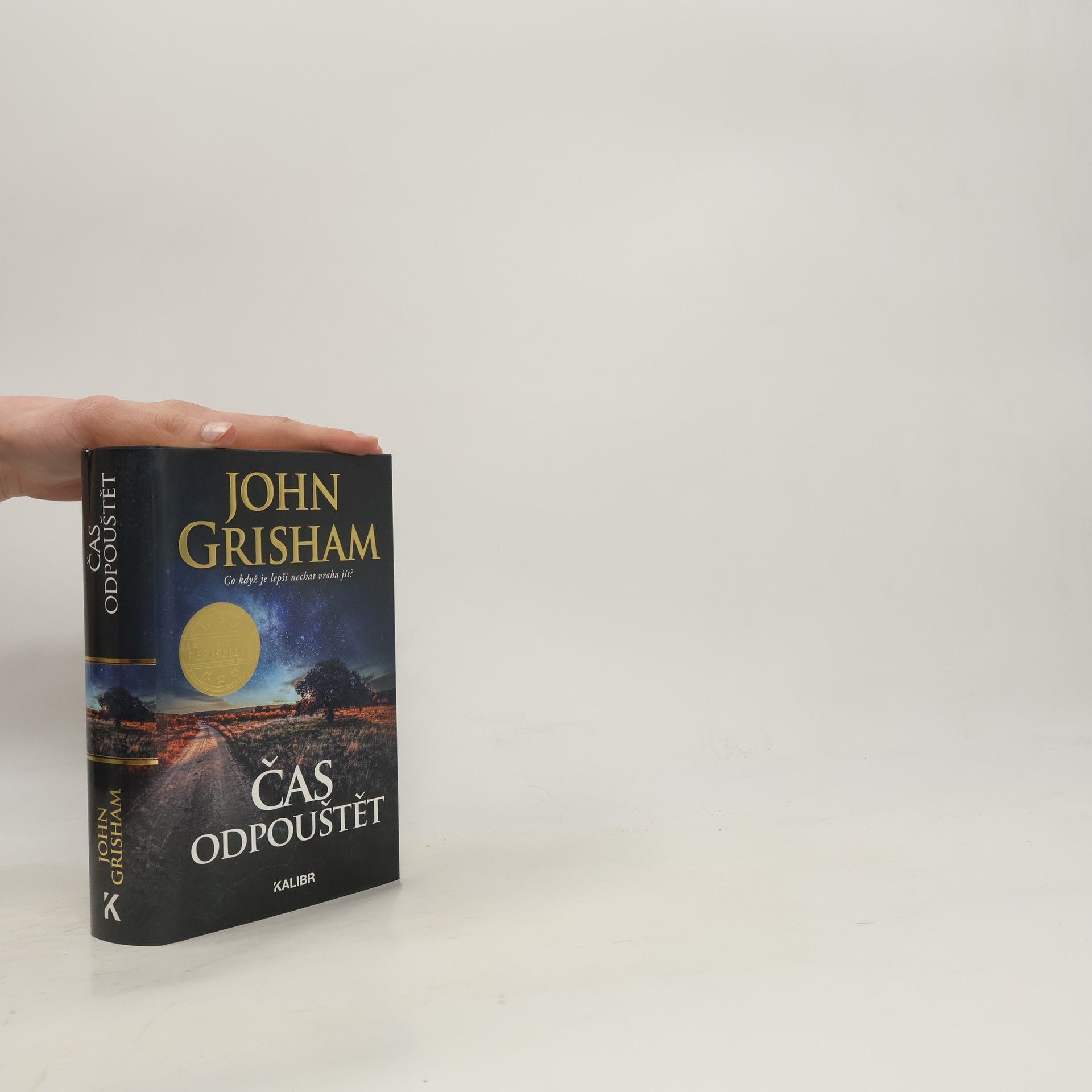 John Grisham Čas odpouštět