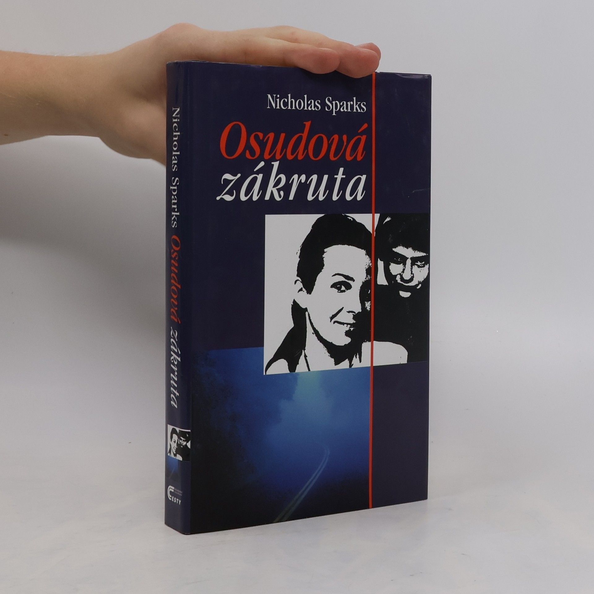 Nicholas Sparks Osudová zákruta
